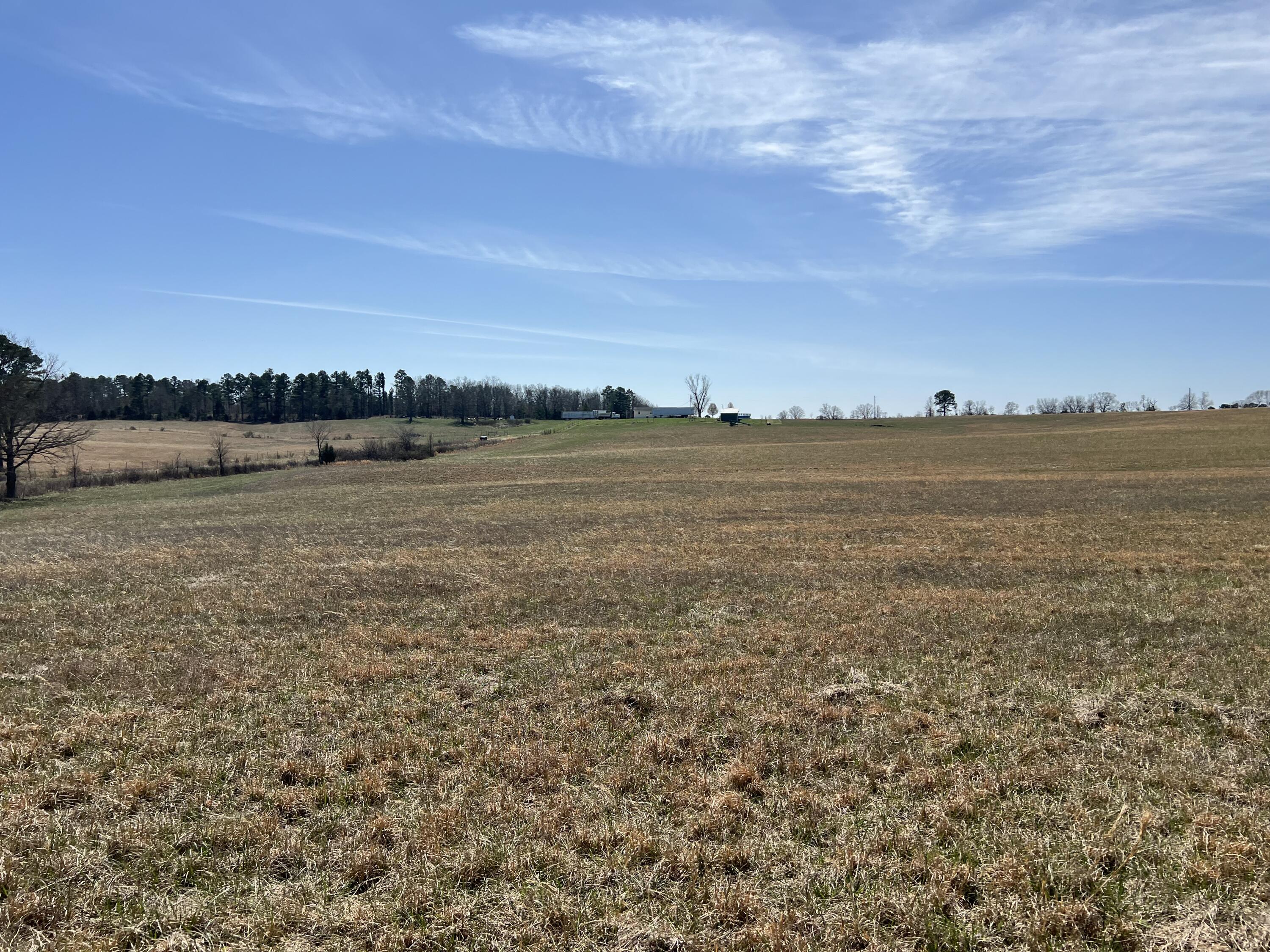 main property photo 87