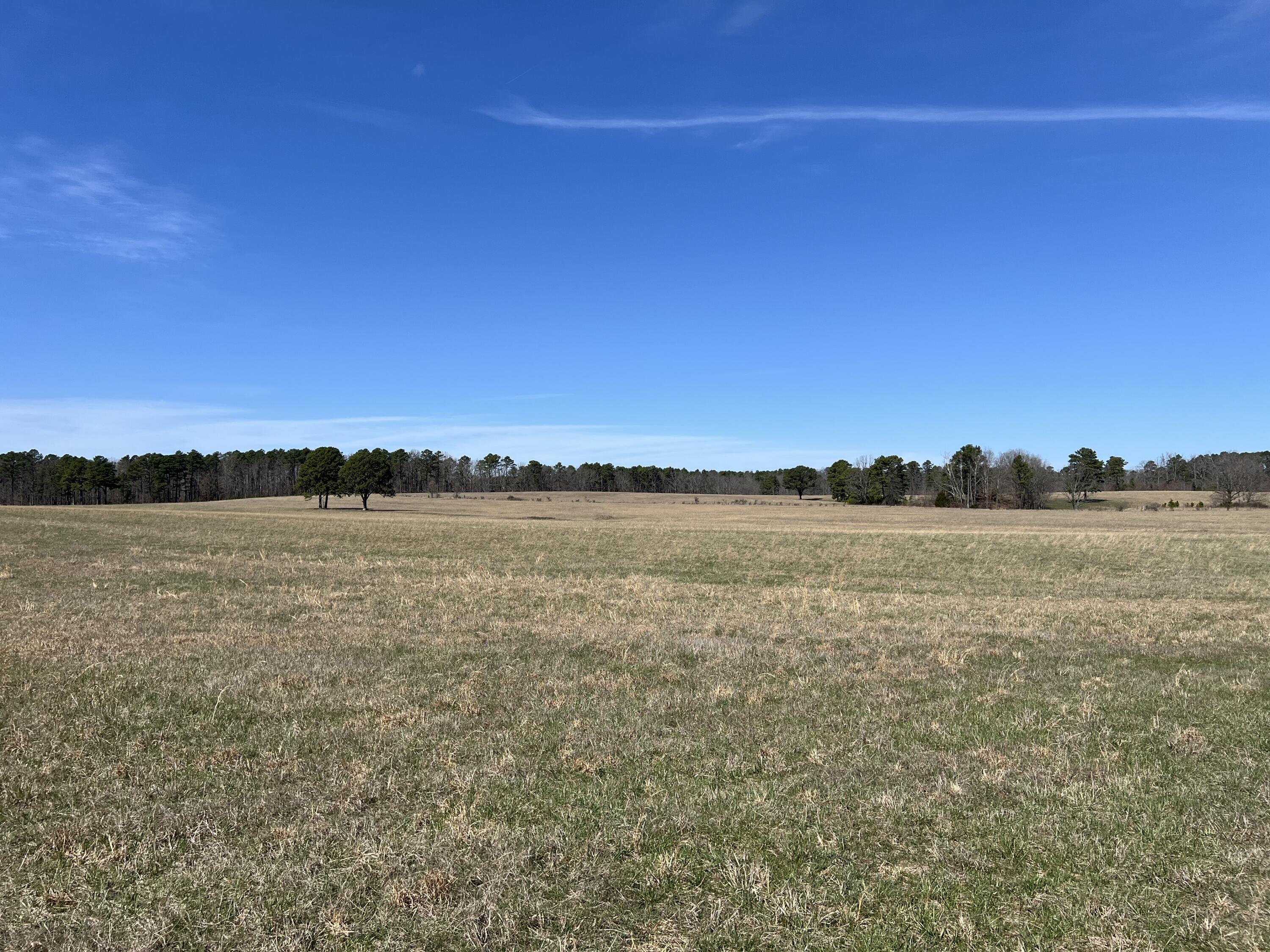 main property photo 90
