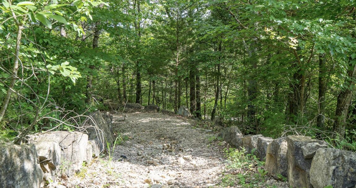 main property photo 56