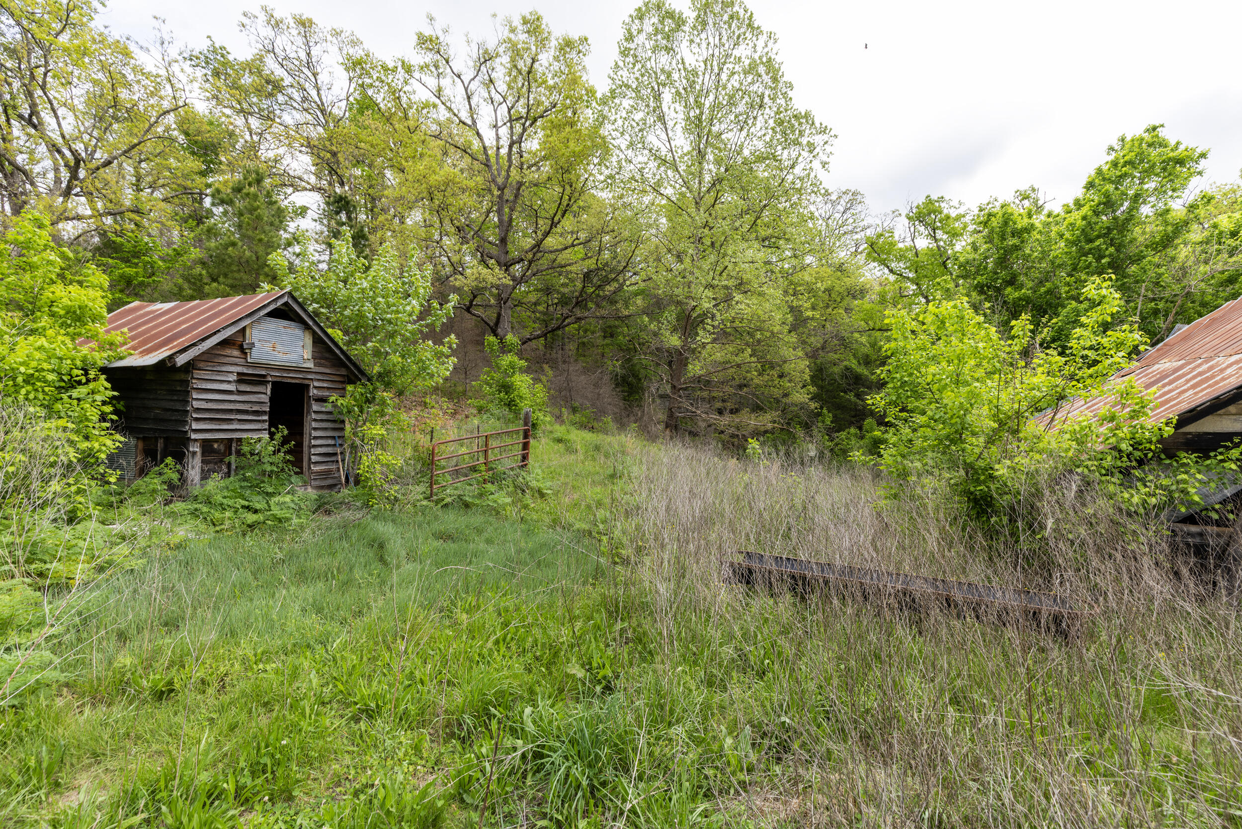 main property photo 34
