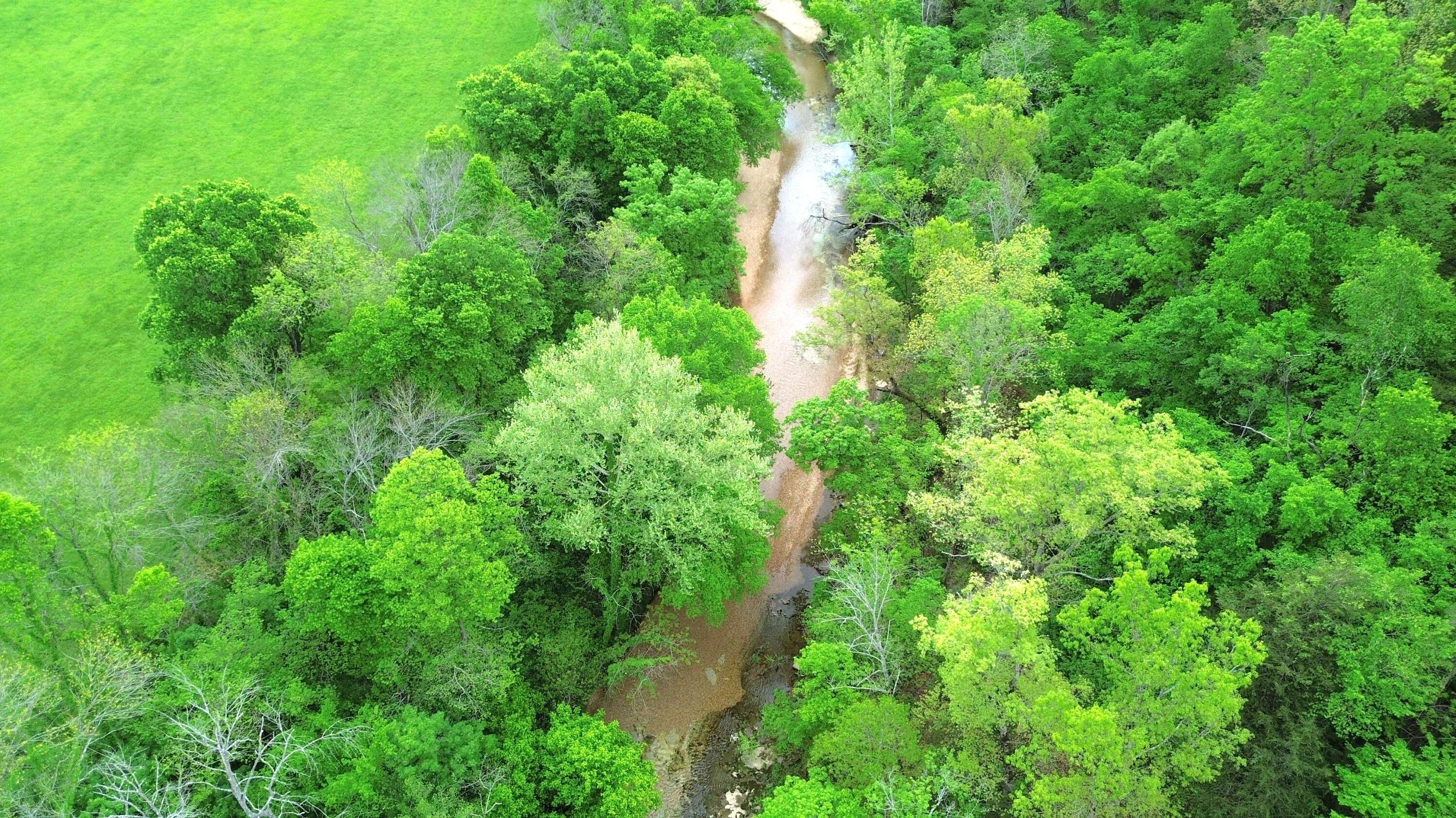 main property photo 53