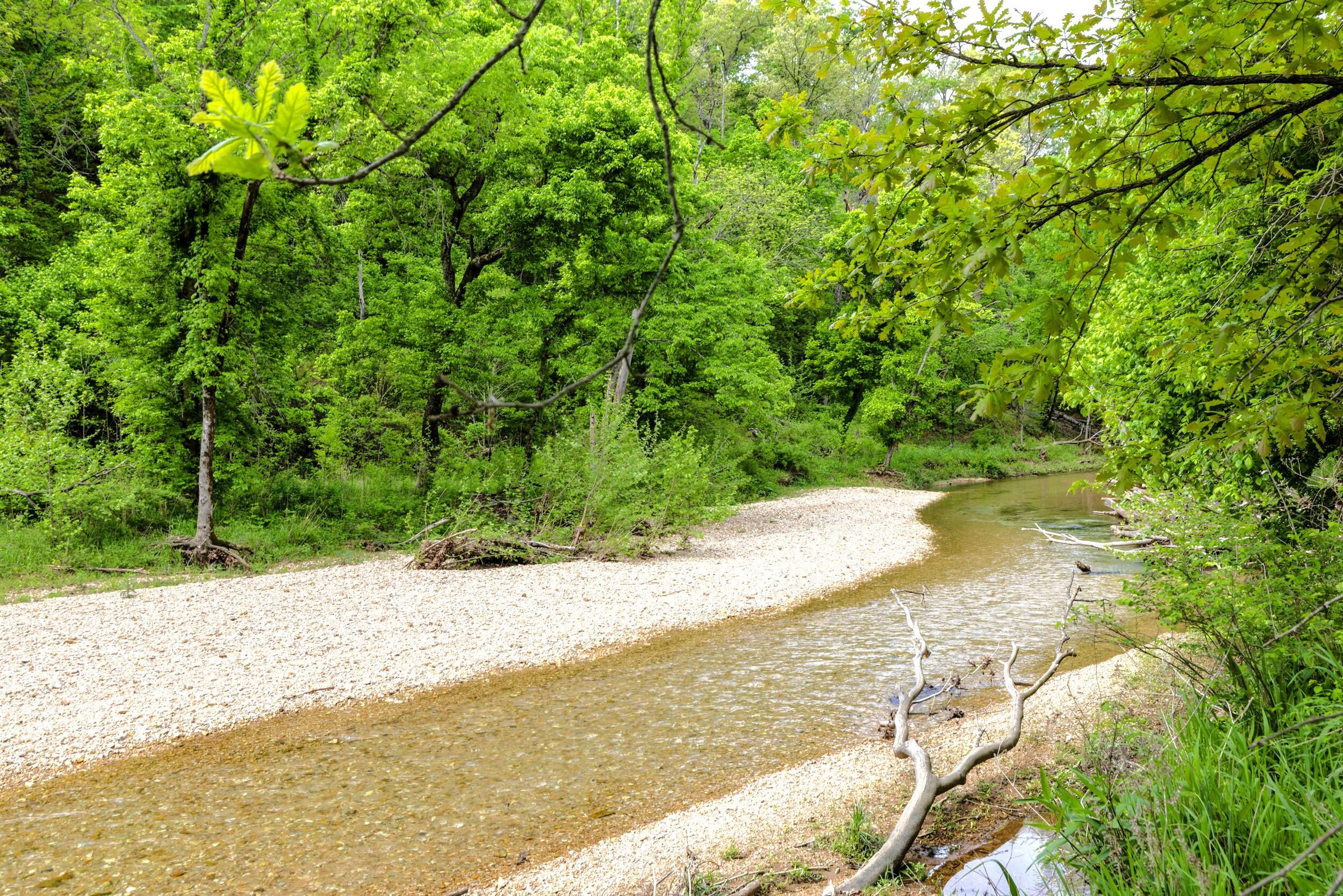 main property photo 54