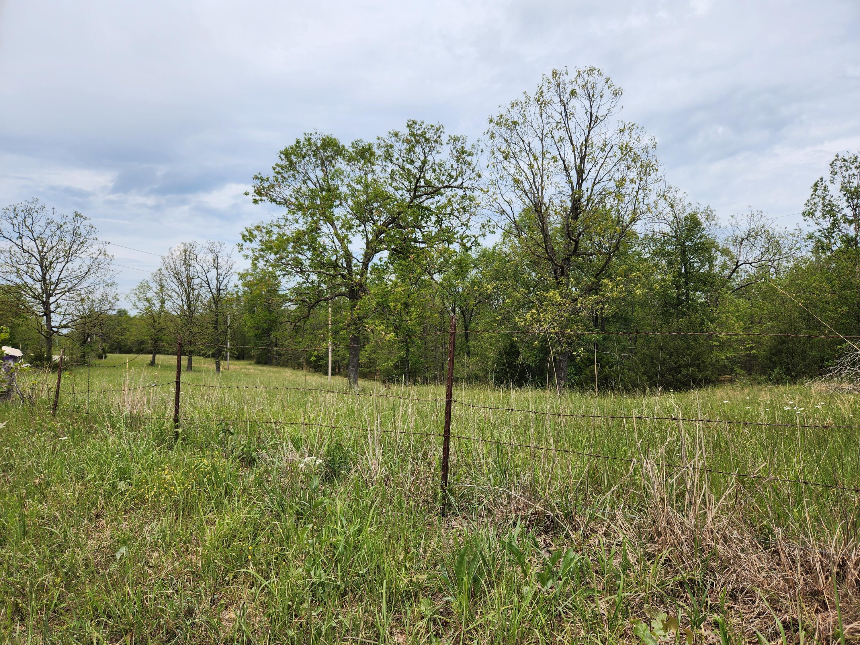 main property photo 25