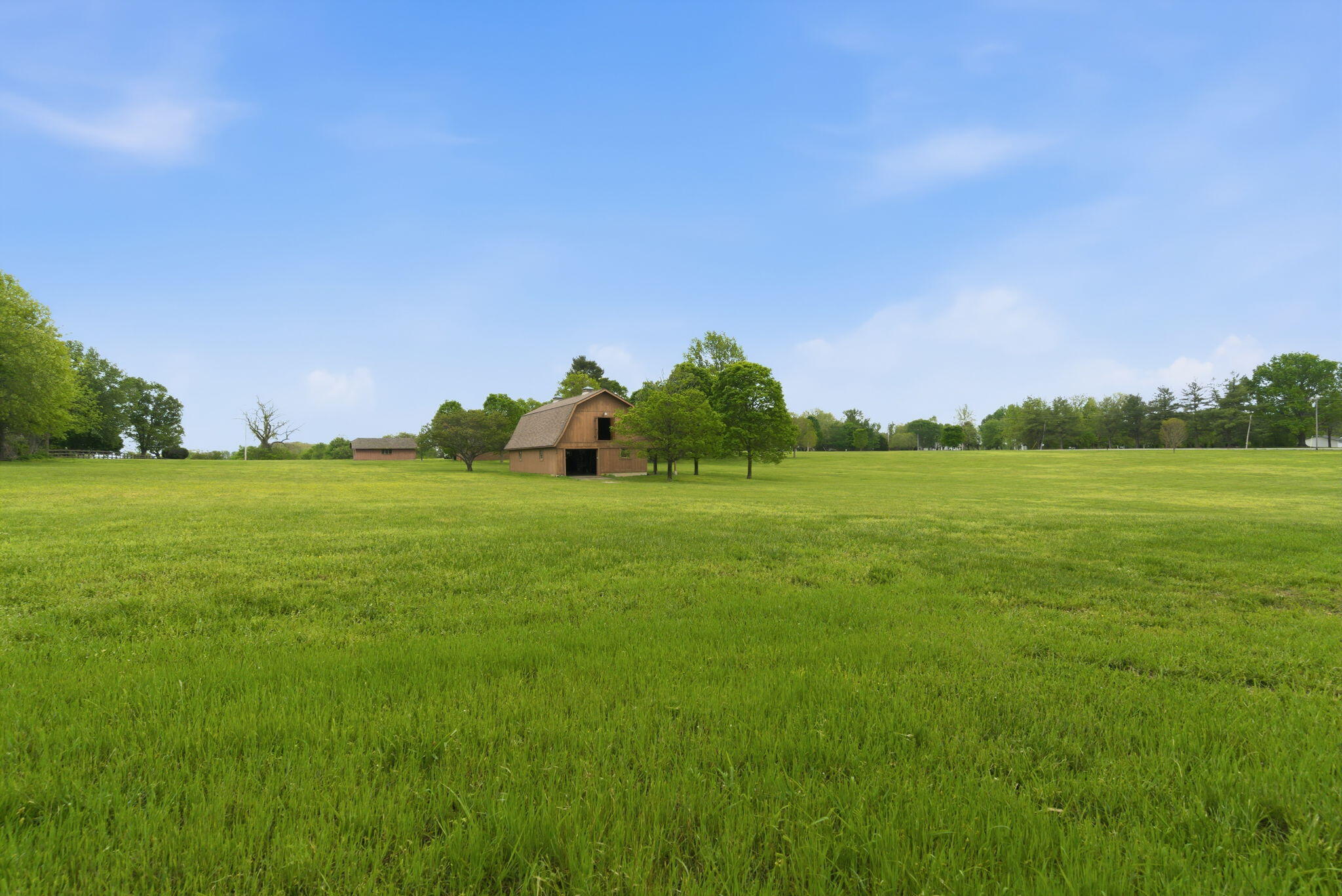 main property photo 59