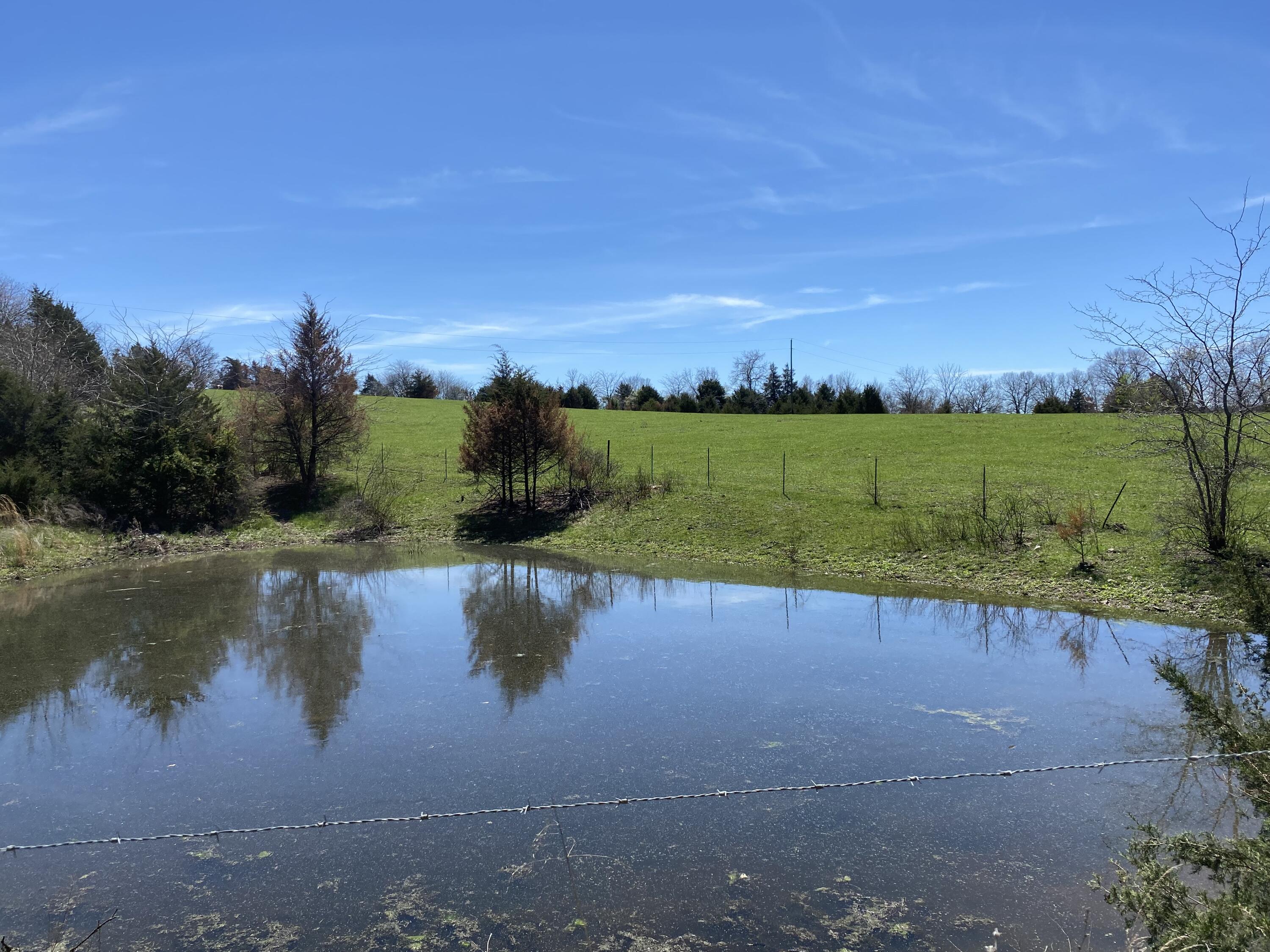 main property photo 95