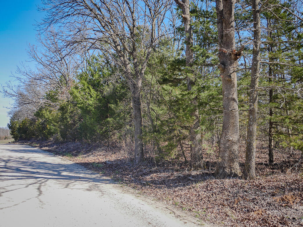 main property photo 11