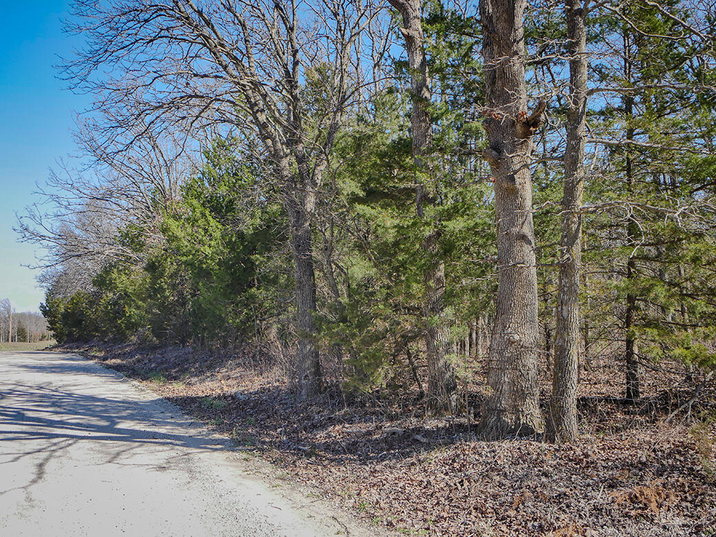 main property photo 12