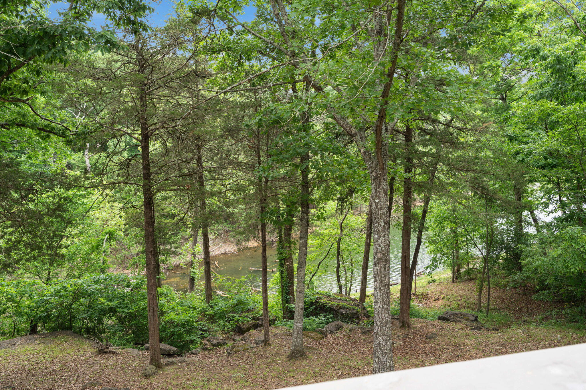 main property photo 10