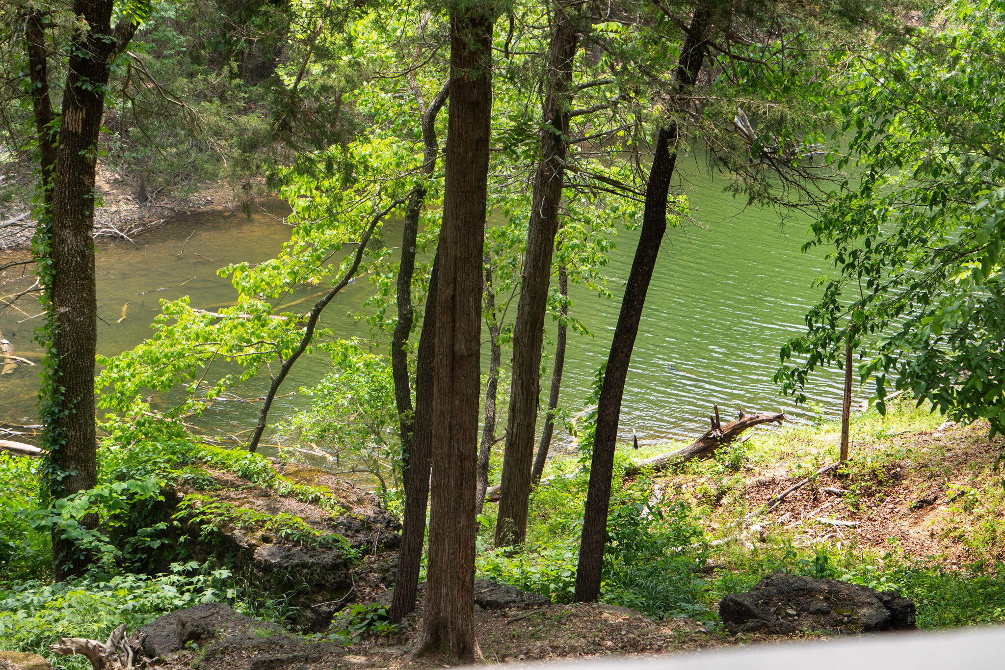 main property photo 12