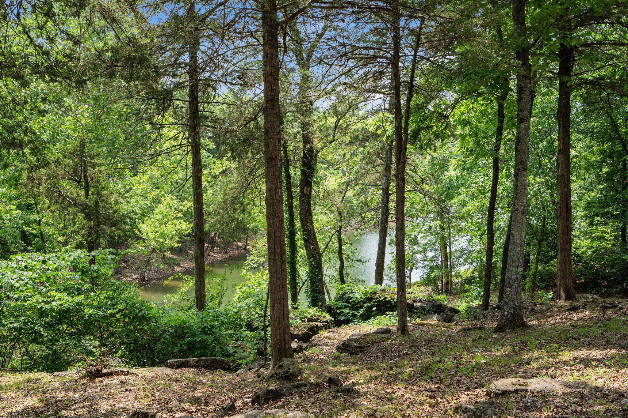 main property photo 18