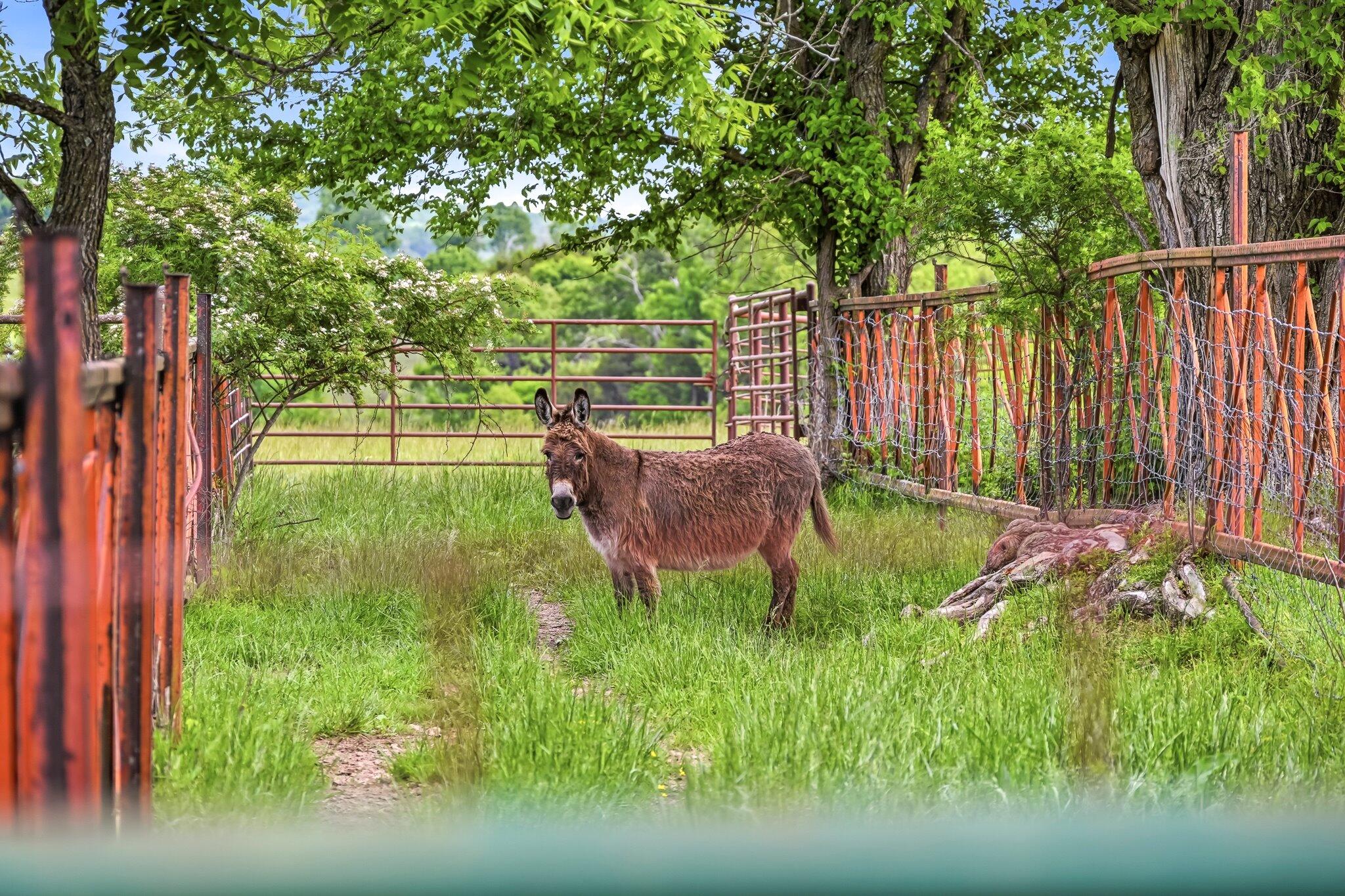 main property photo 34