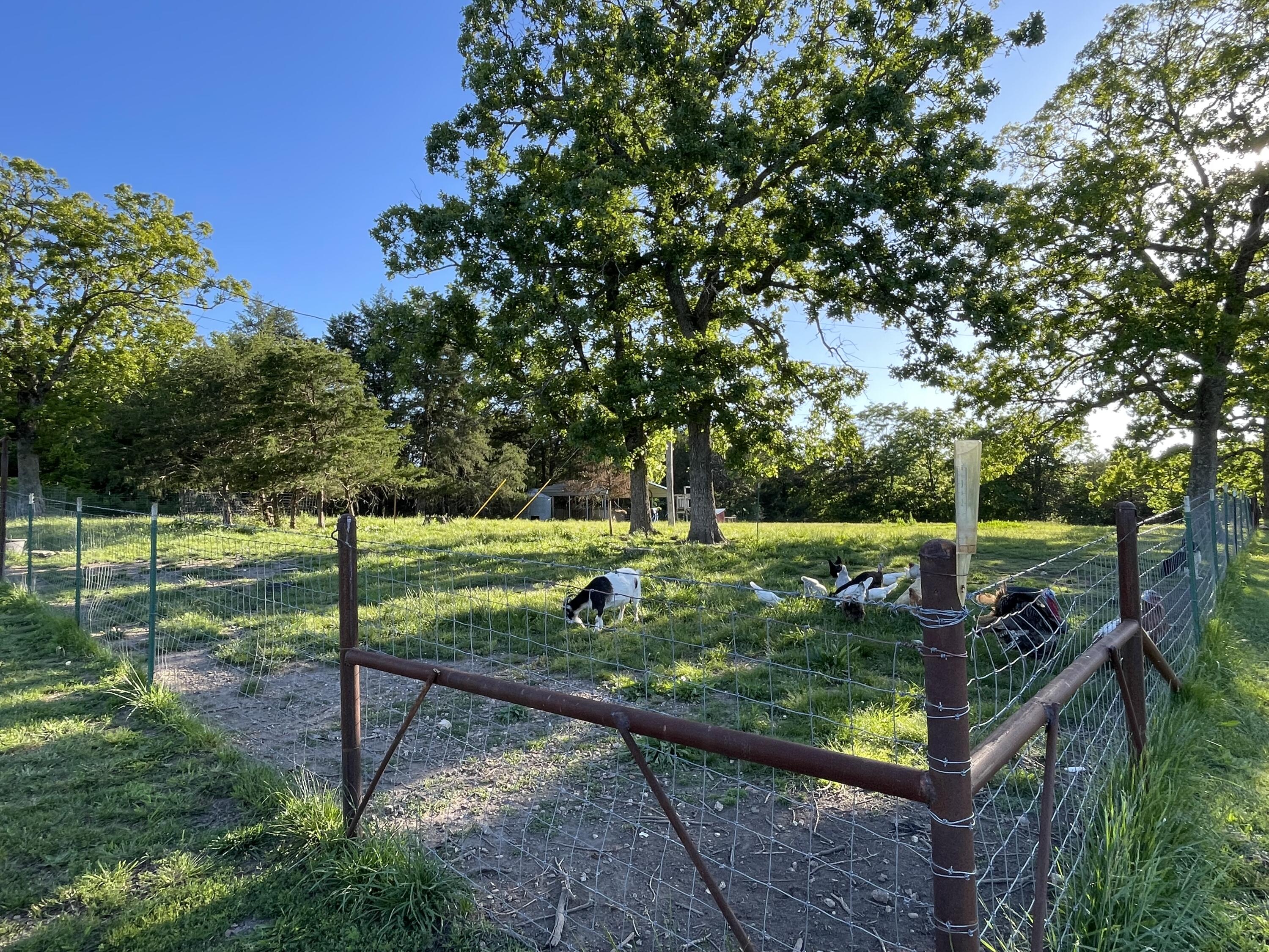 main property photo 41