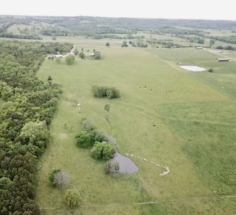 main property photo 53