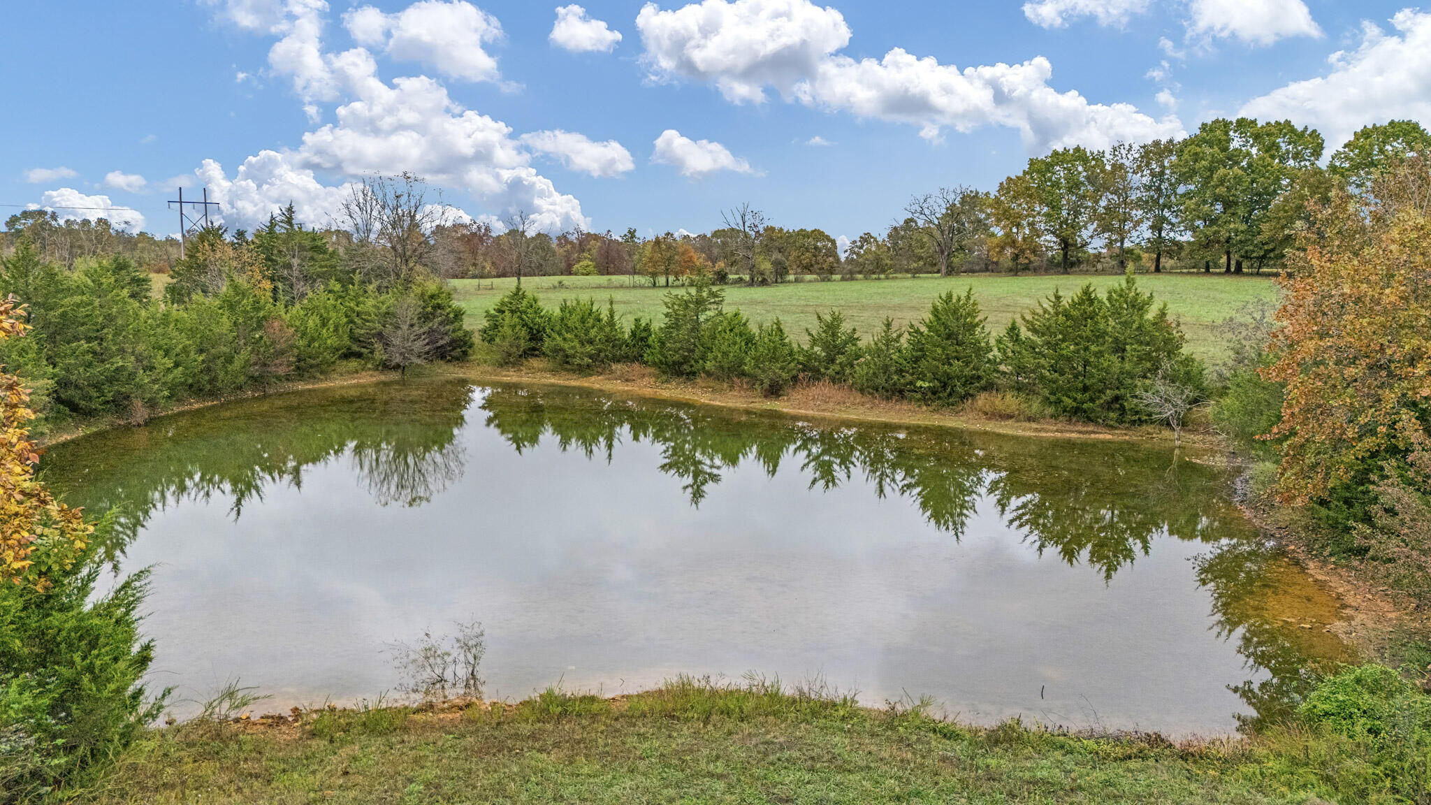 main property photo 99