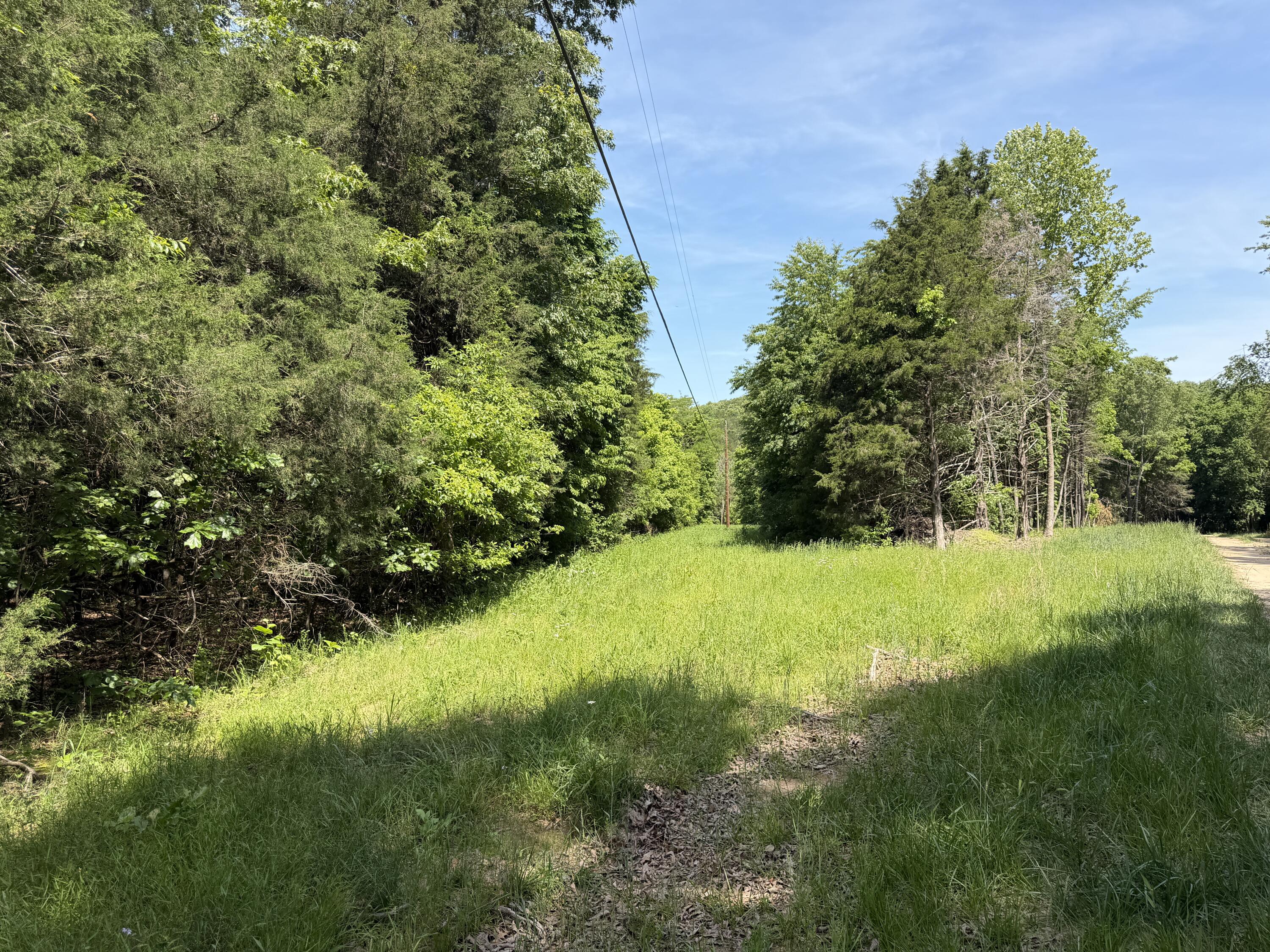 main property photo 11