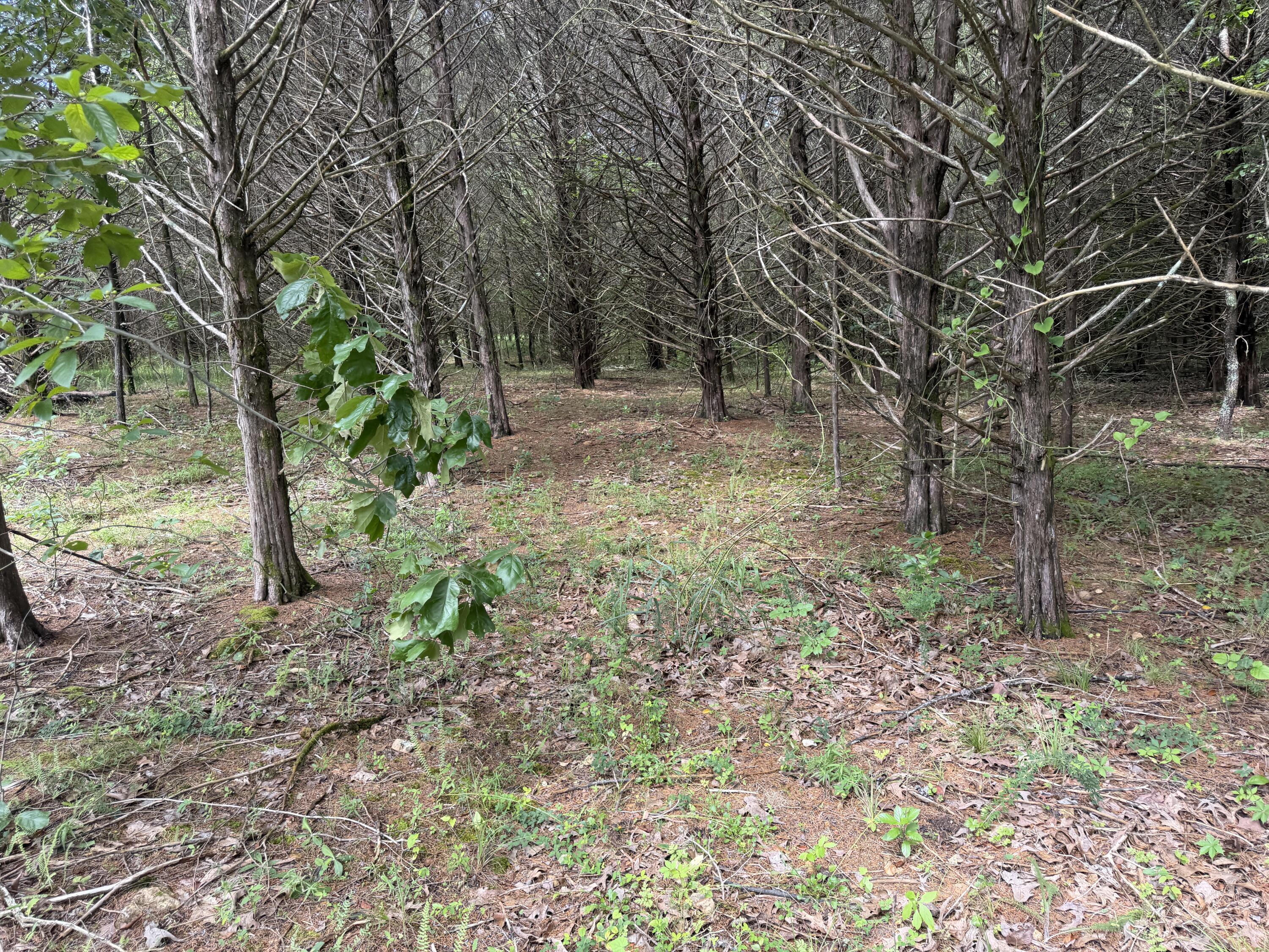 main property photo 12