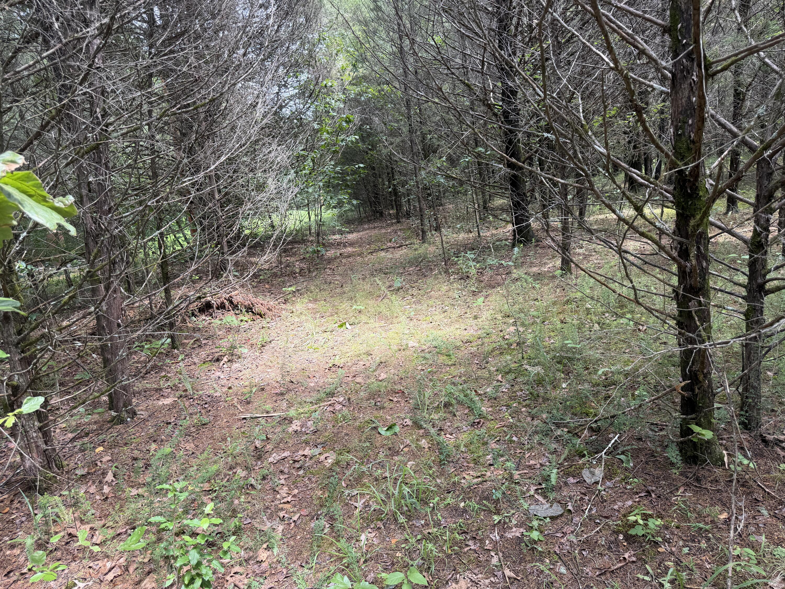 main property photo 16