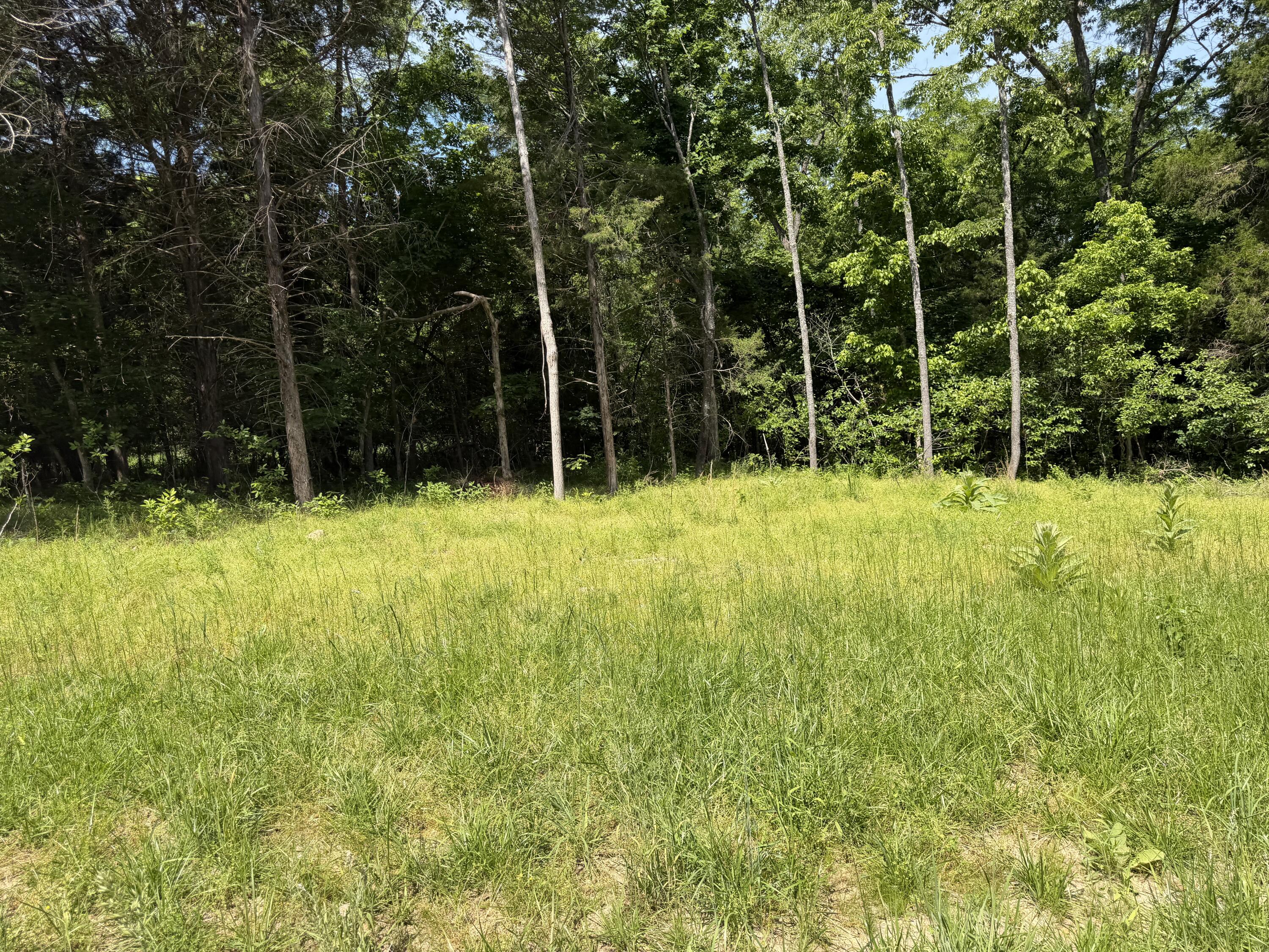 main property photo 17