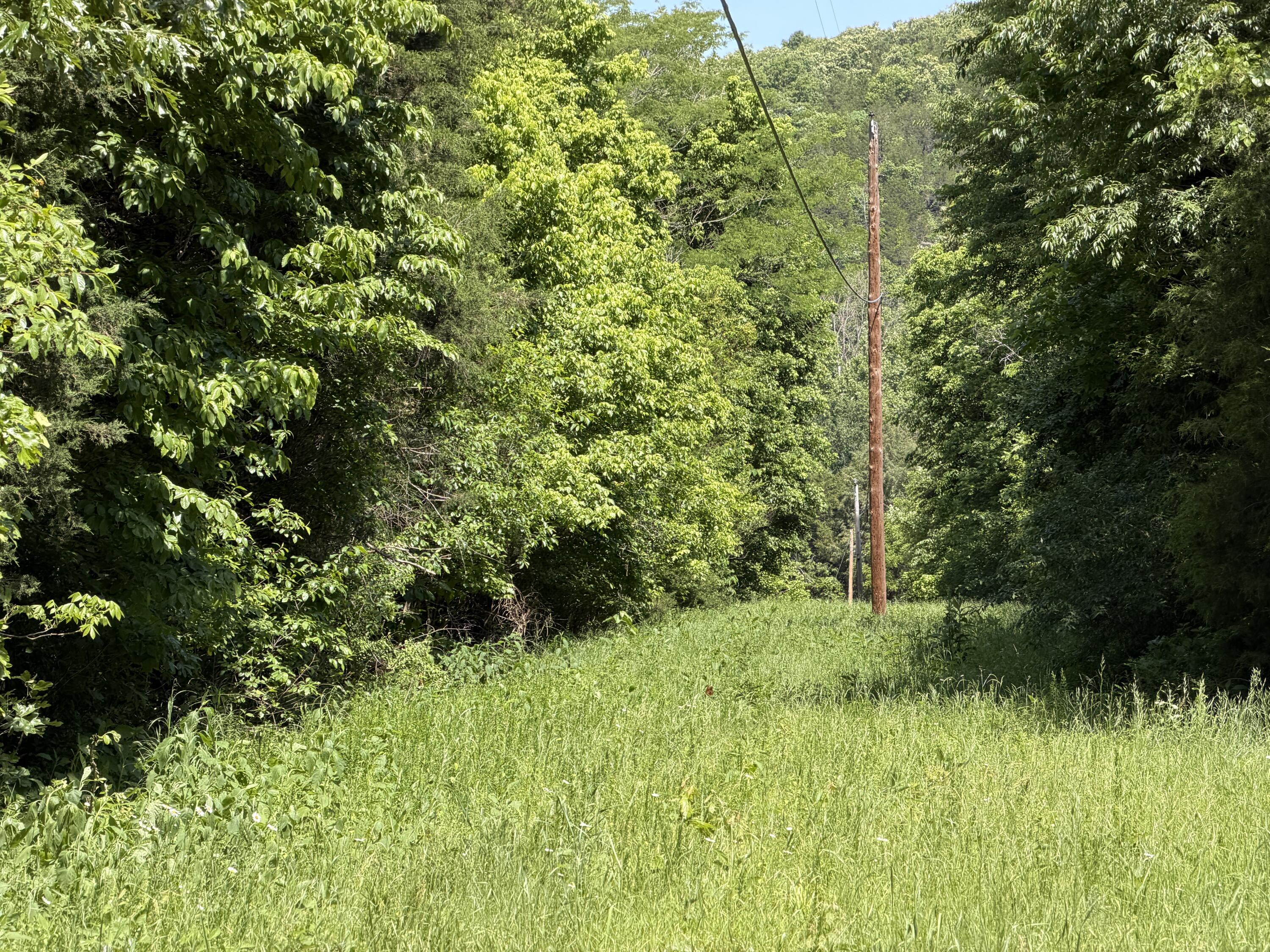 main property photo 20