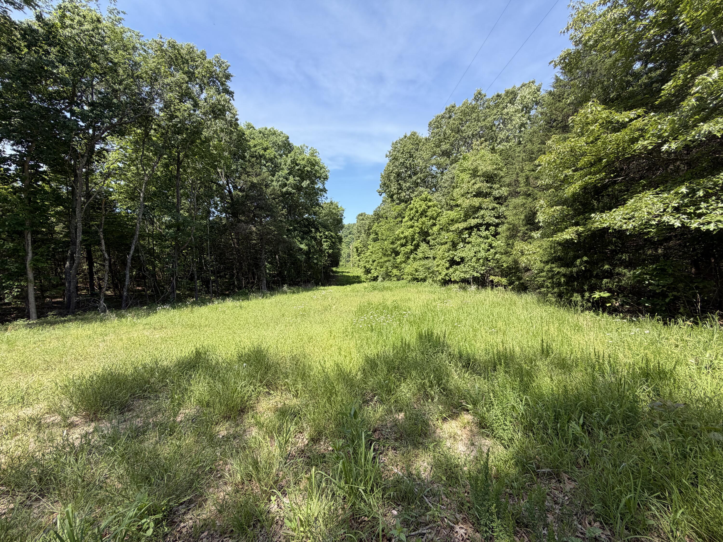 main property photo 26