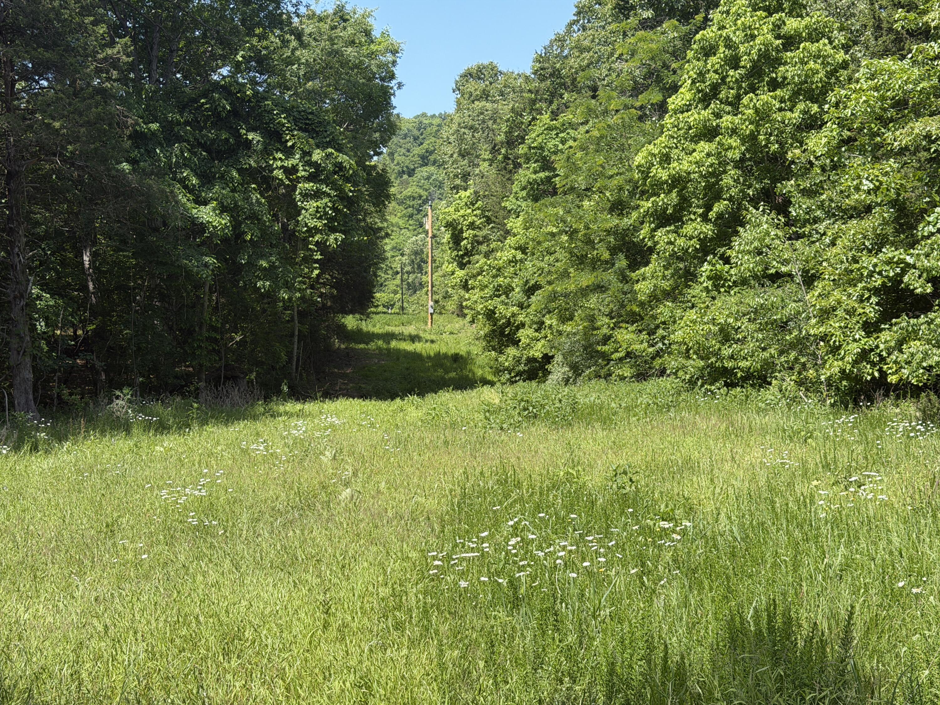 main property photo 29