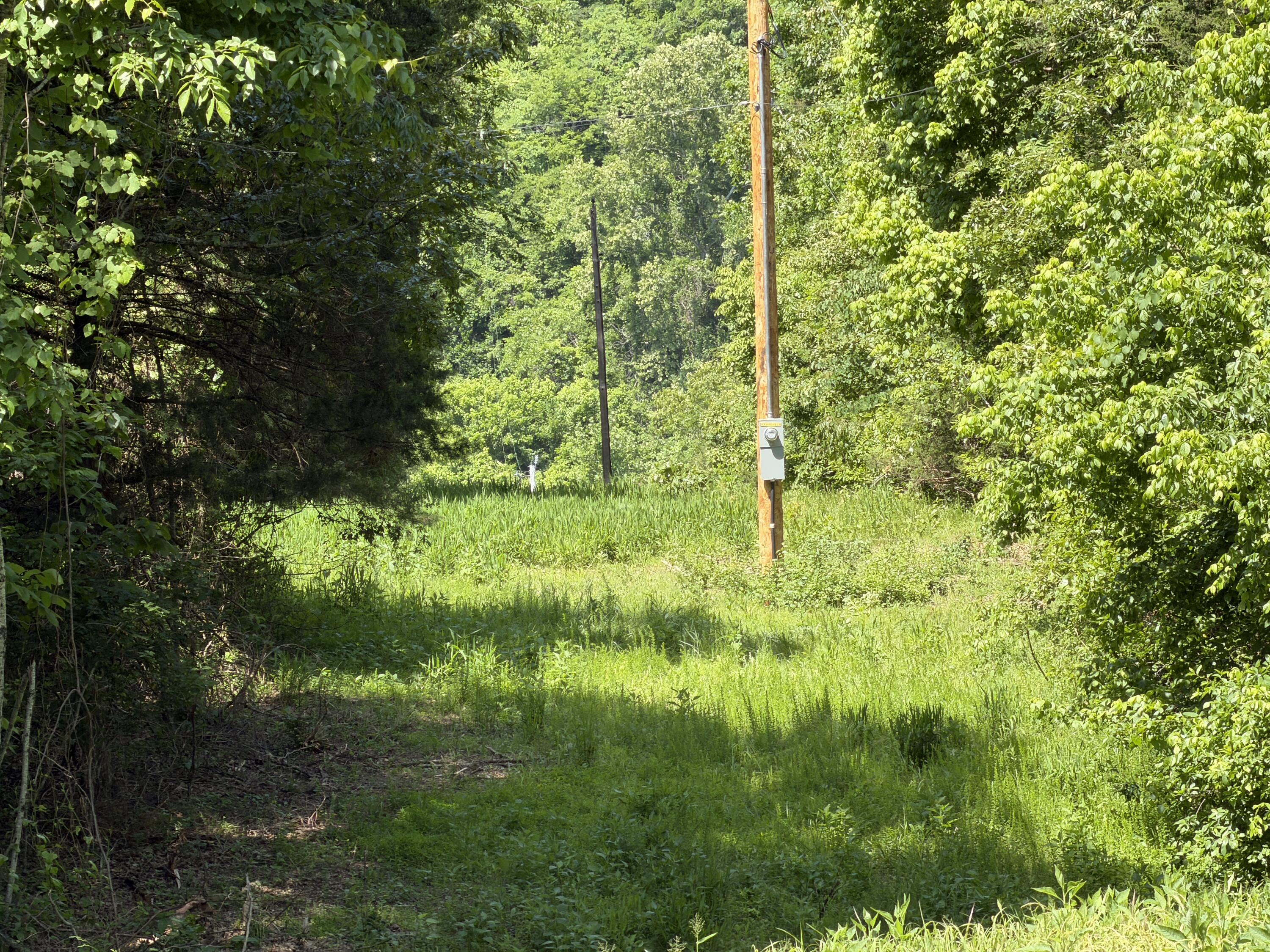 main property photo 7