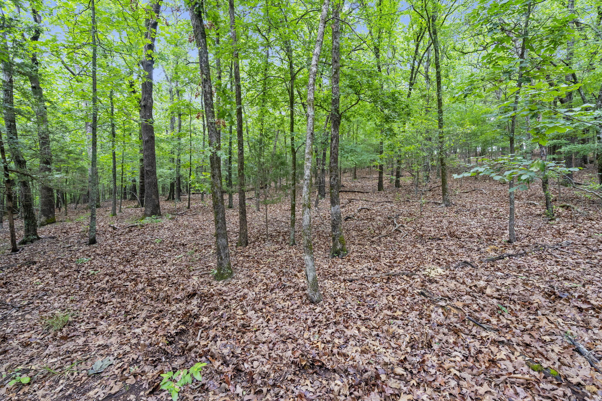 main property photo 11