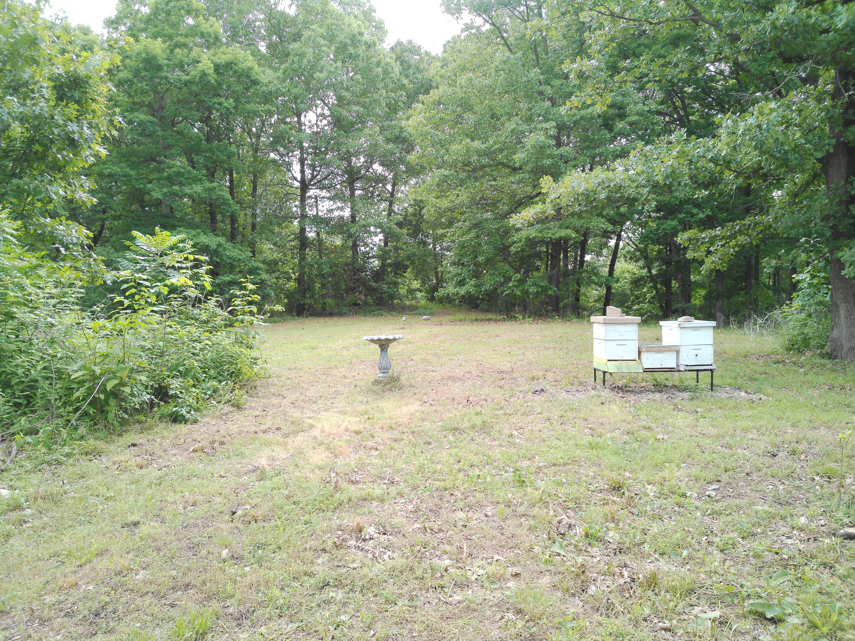 main property photo 25