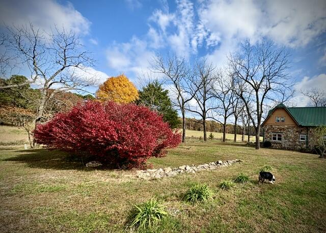 main property photo 34