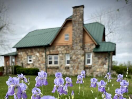 main property photo 48