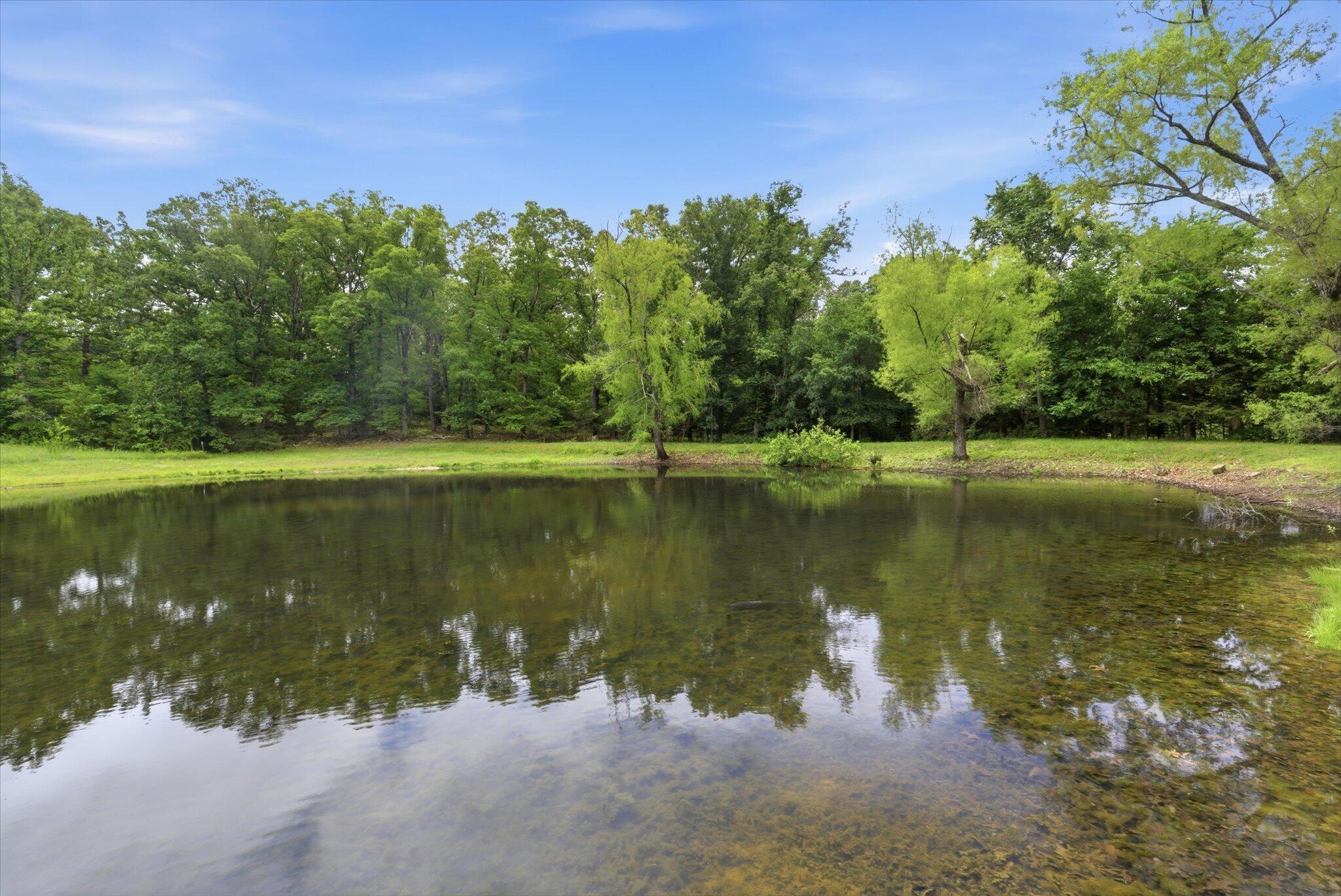main property photo 47