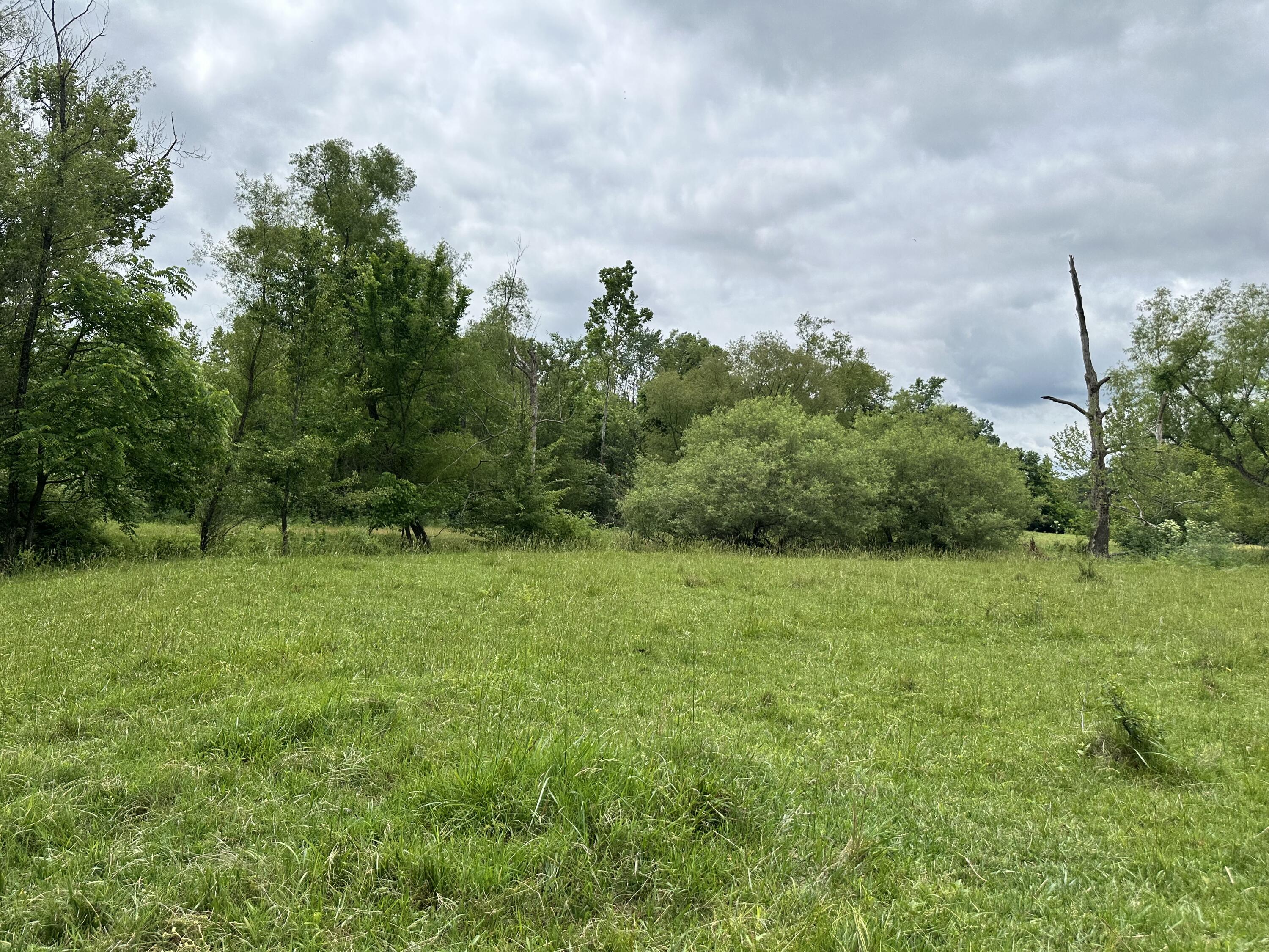 main property photo 53