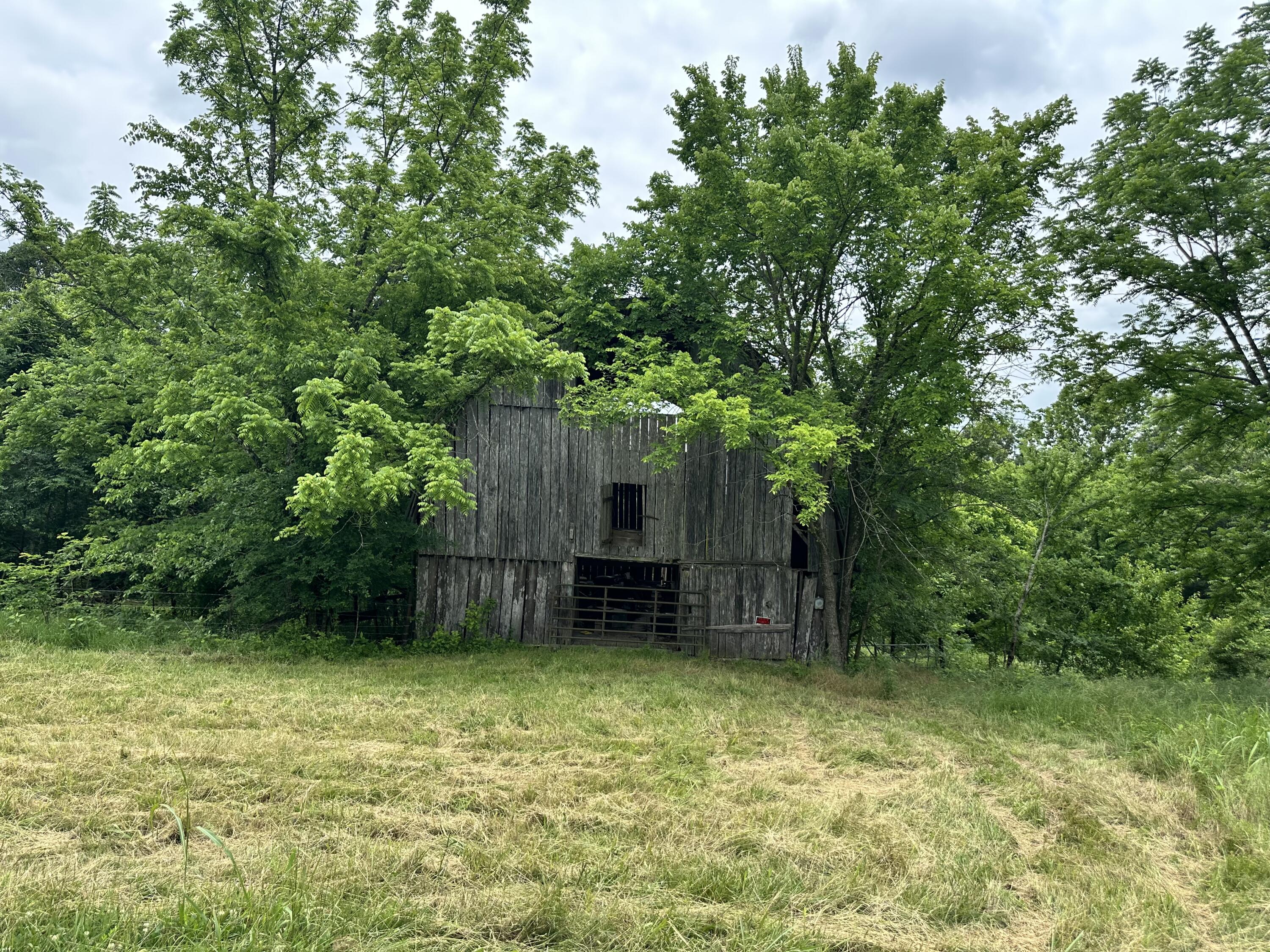 main property photo 31