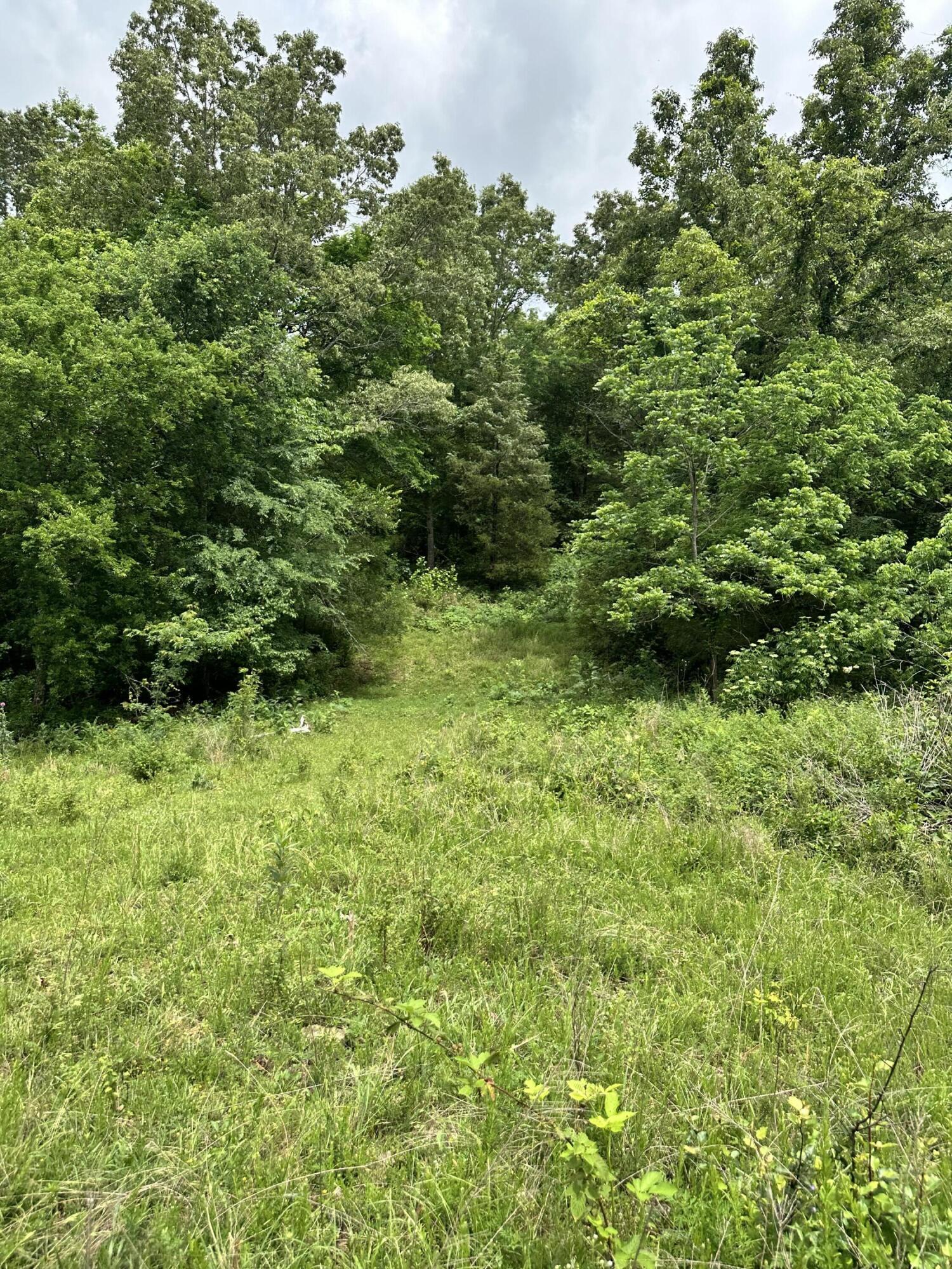 main property photo 43