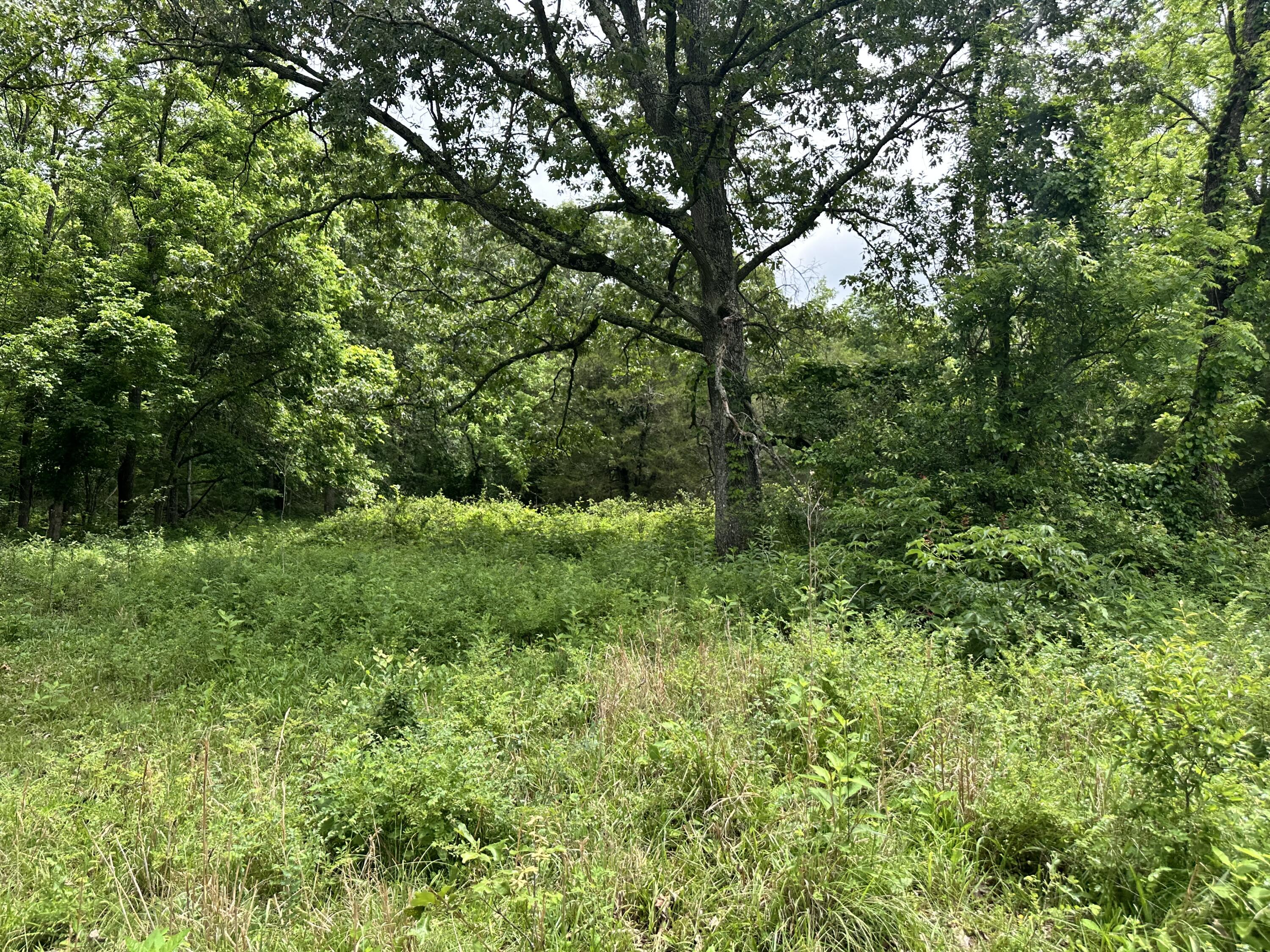main property photo 44