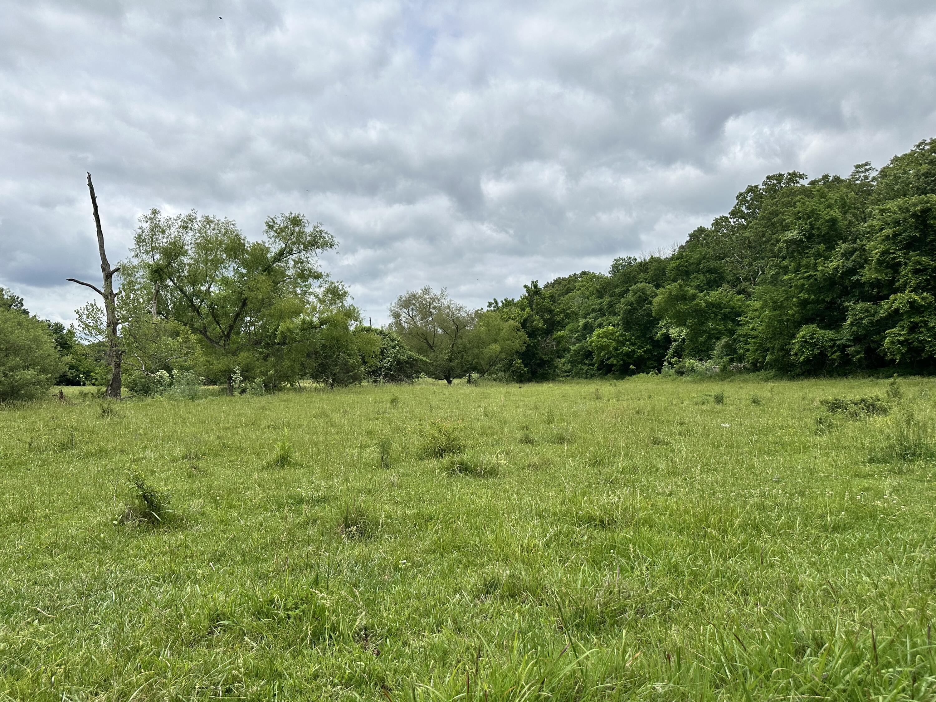 main property photo 54