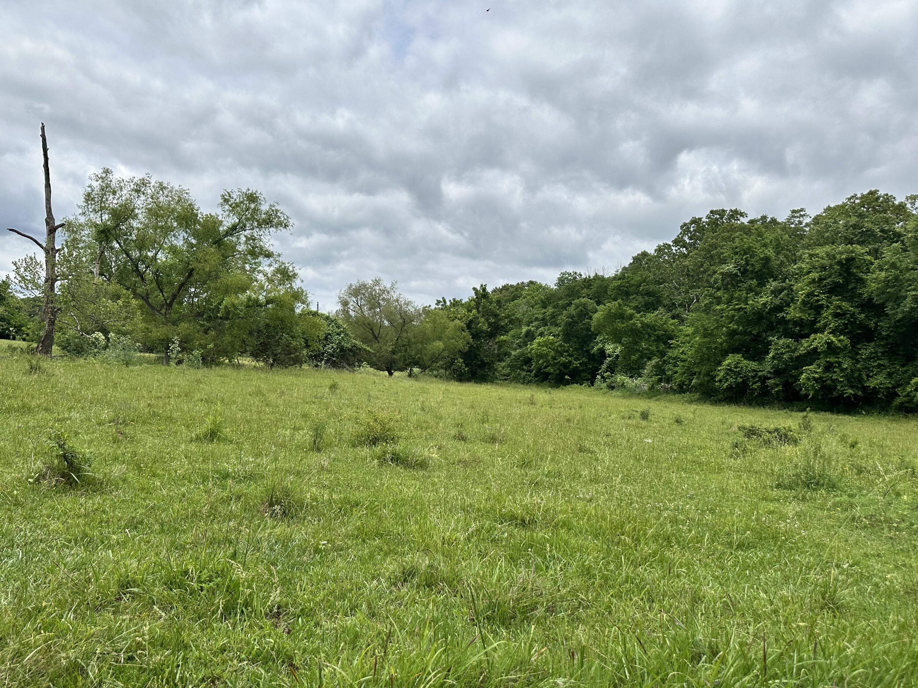 main property photo 55