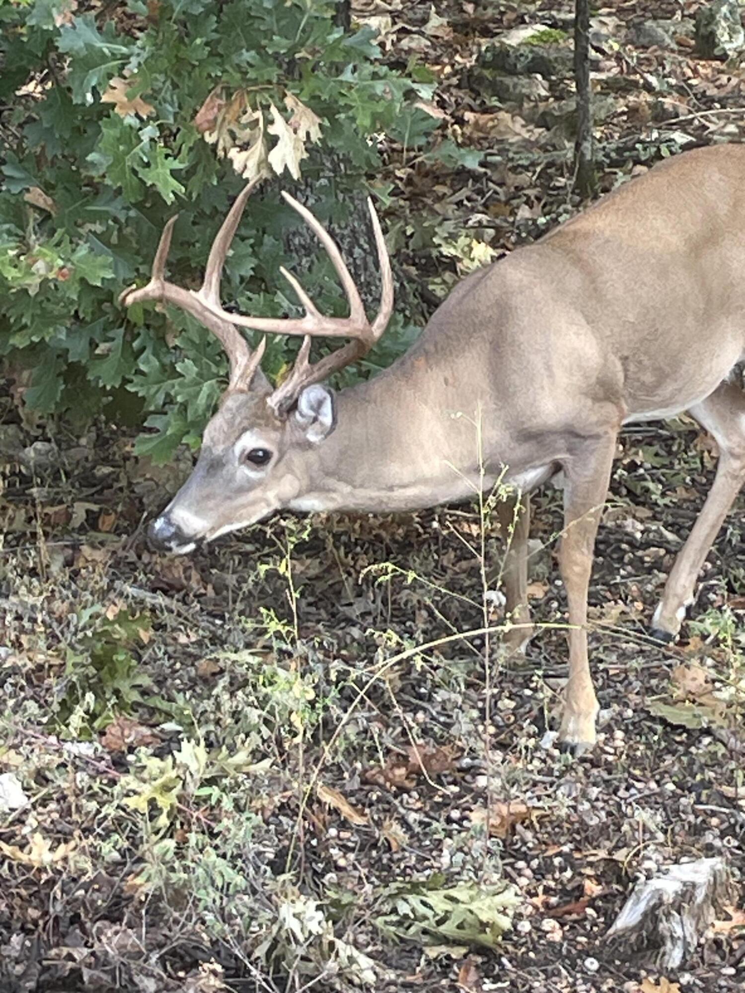 main property photo 42