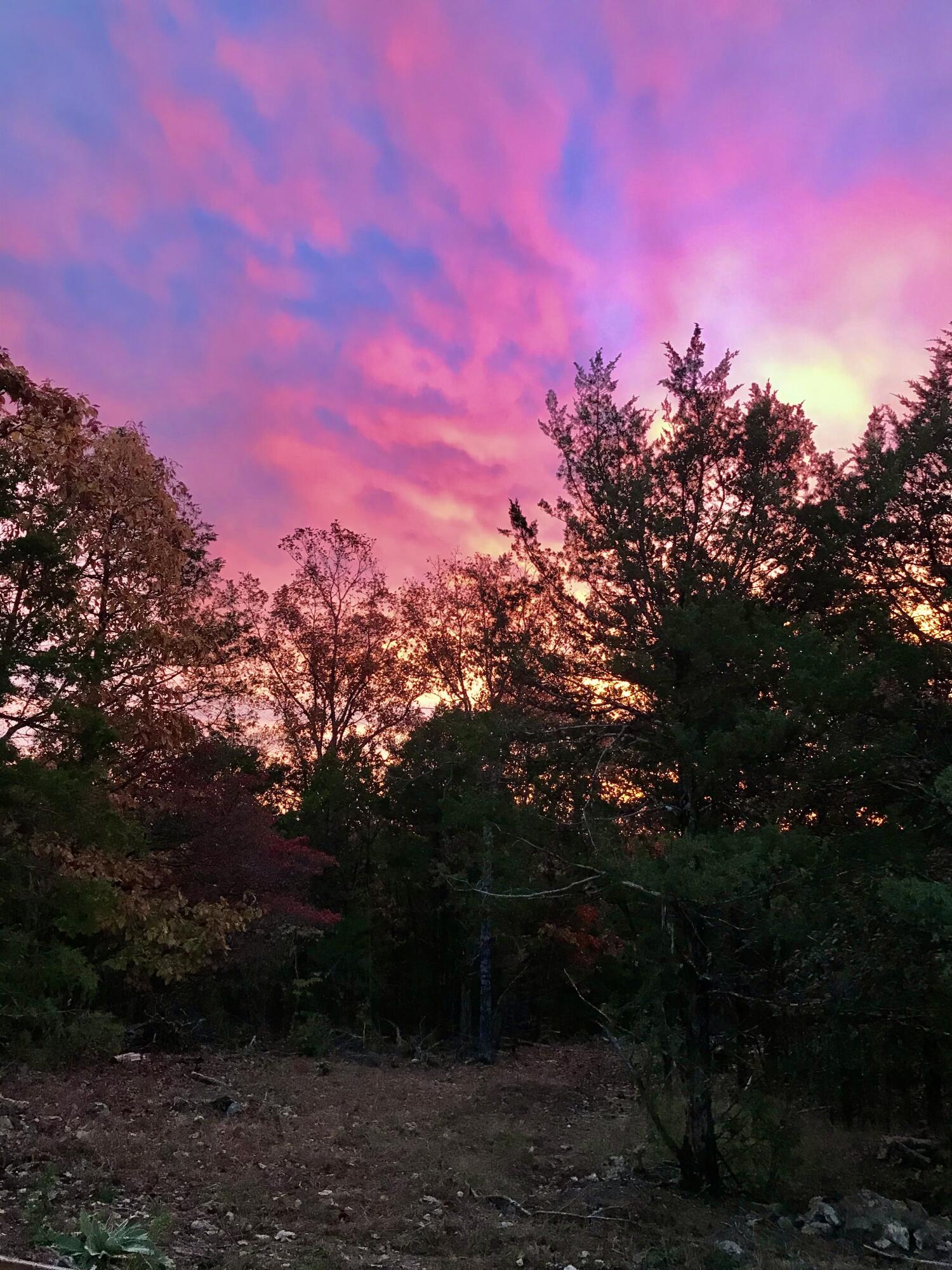 main property photo 56