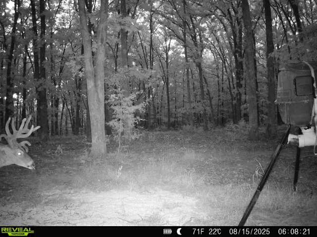 main property photo 48