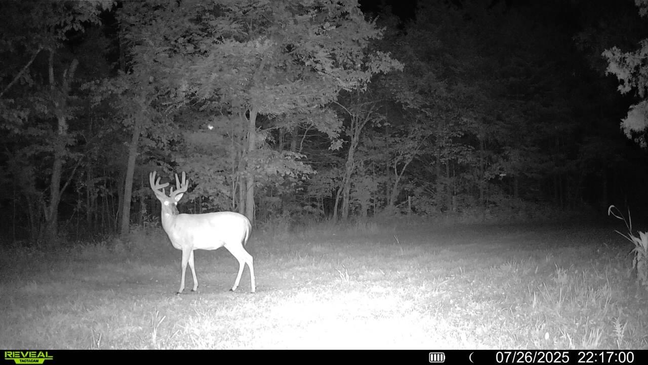 main property photo 51