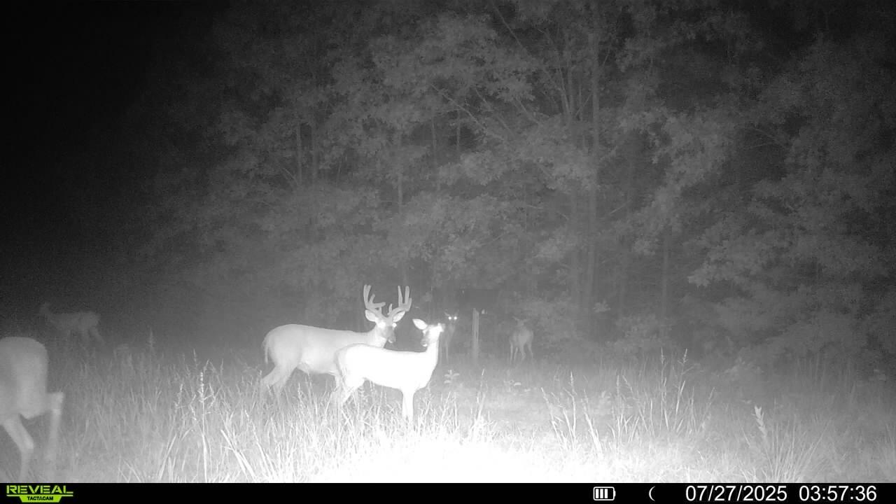 main property photo 52