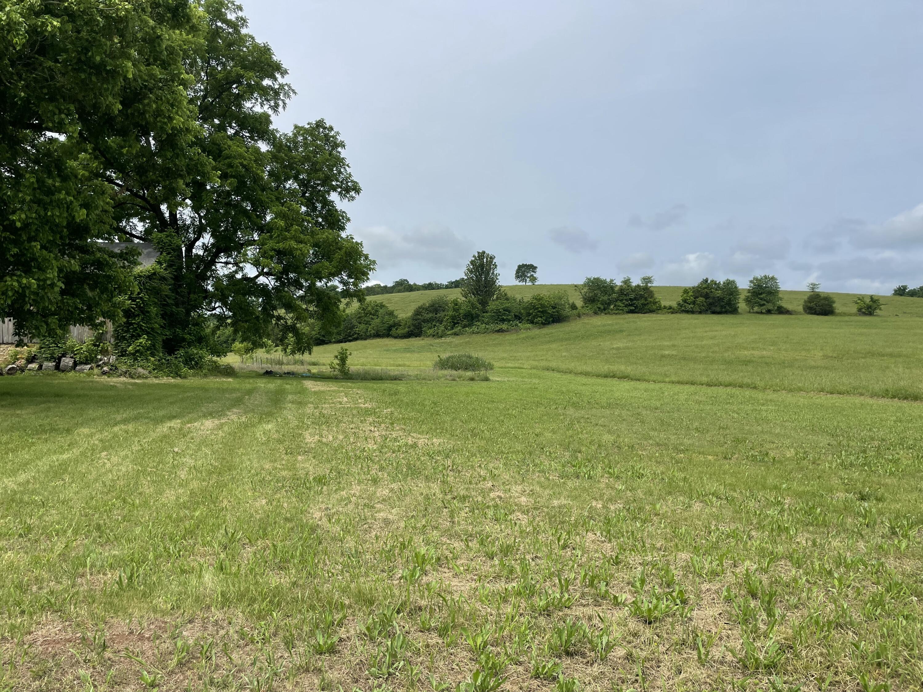 main property photo 17