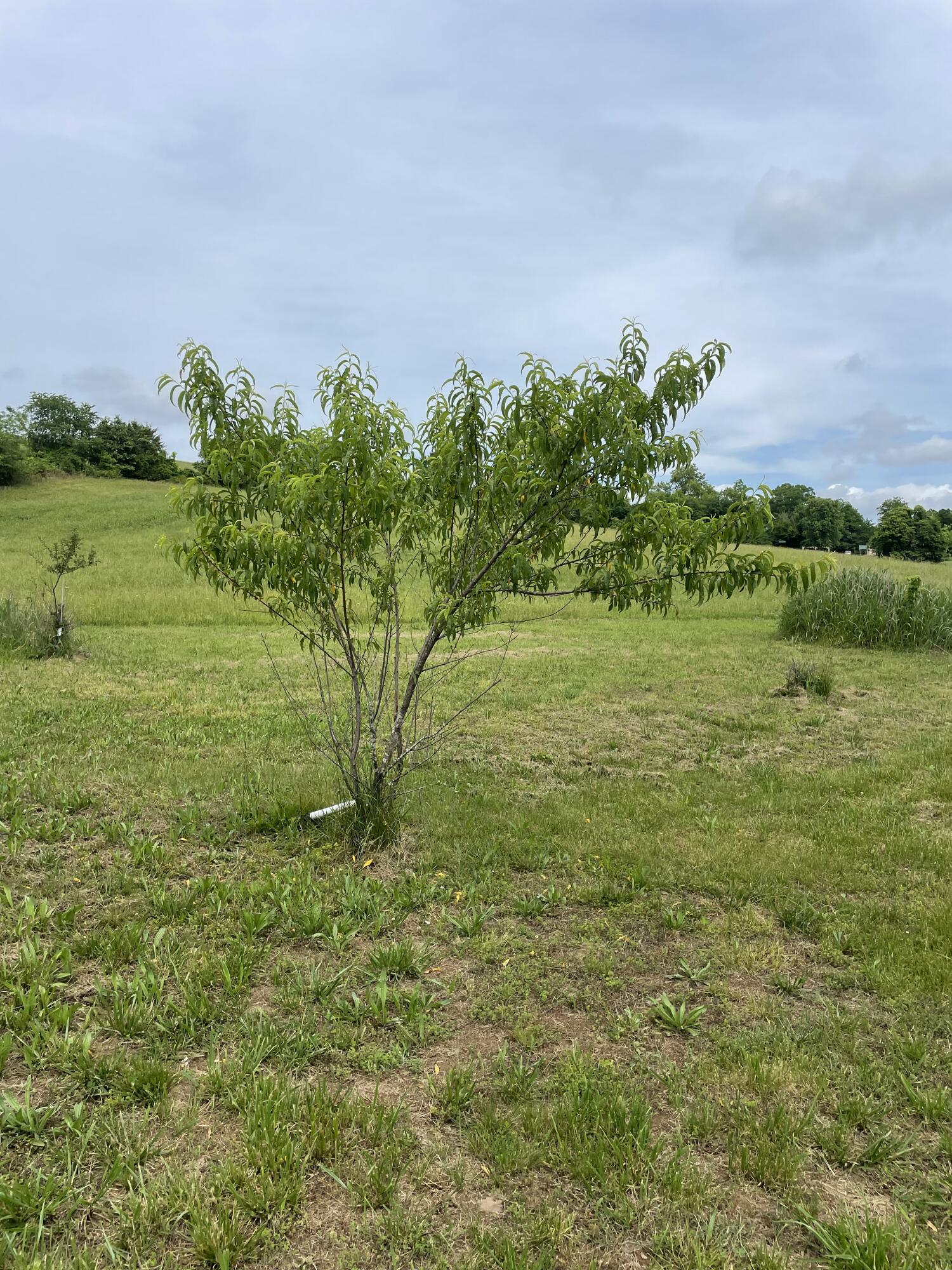 main property photo 21