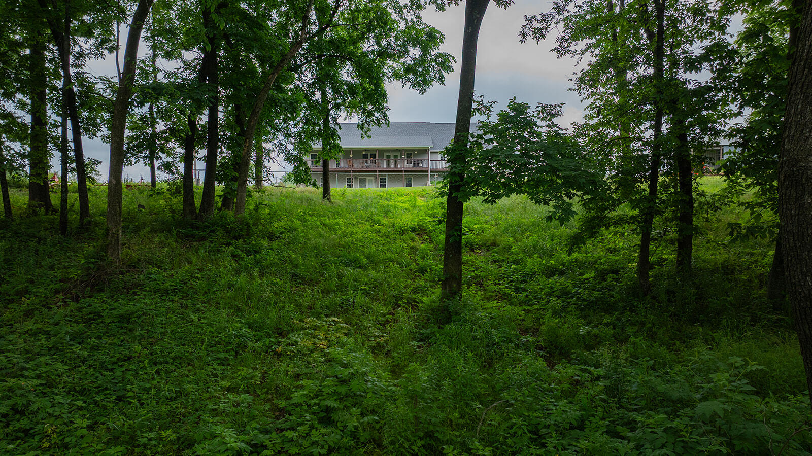 main property photo 72