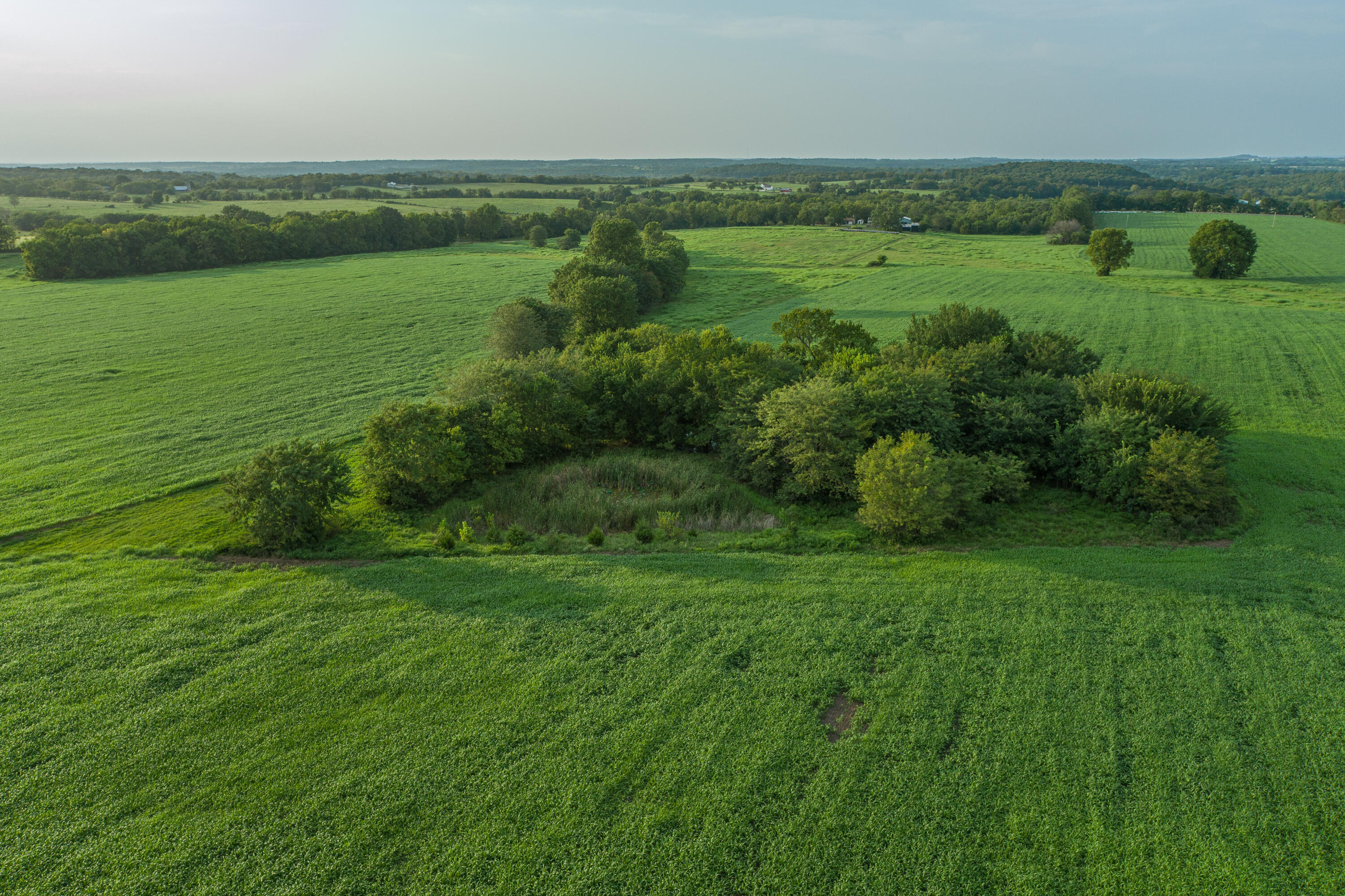 main property photo 79