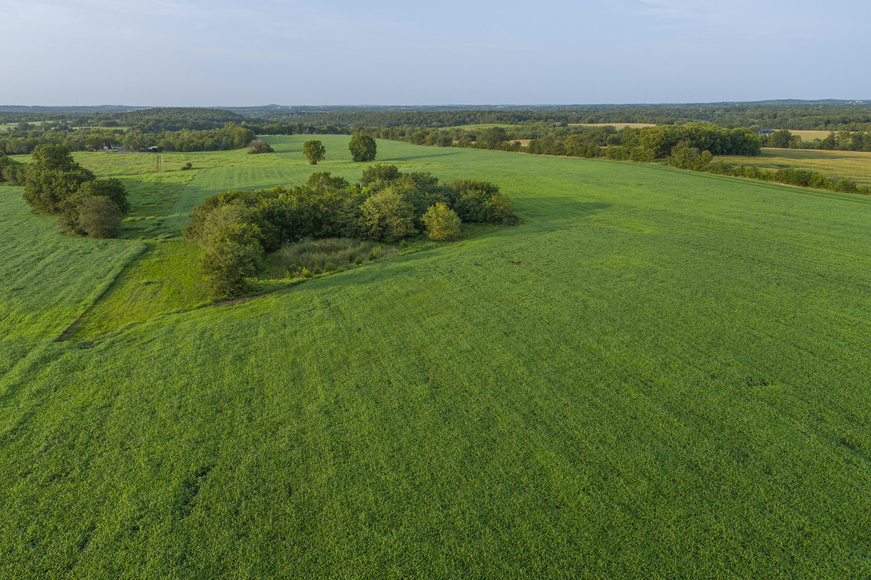 main property photo 80