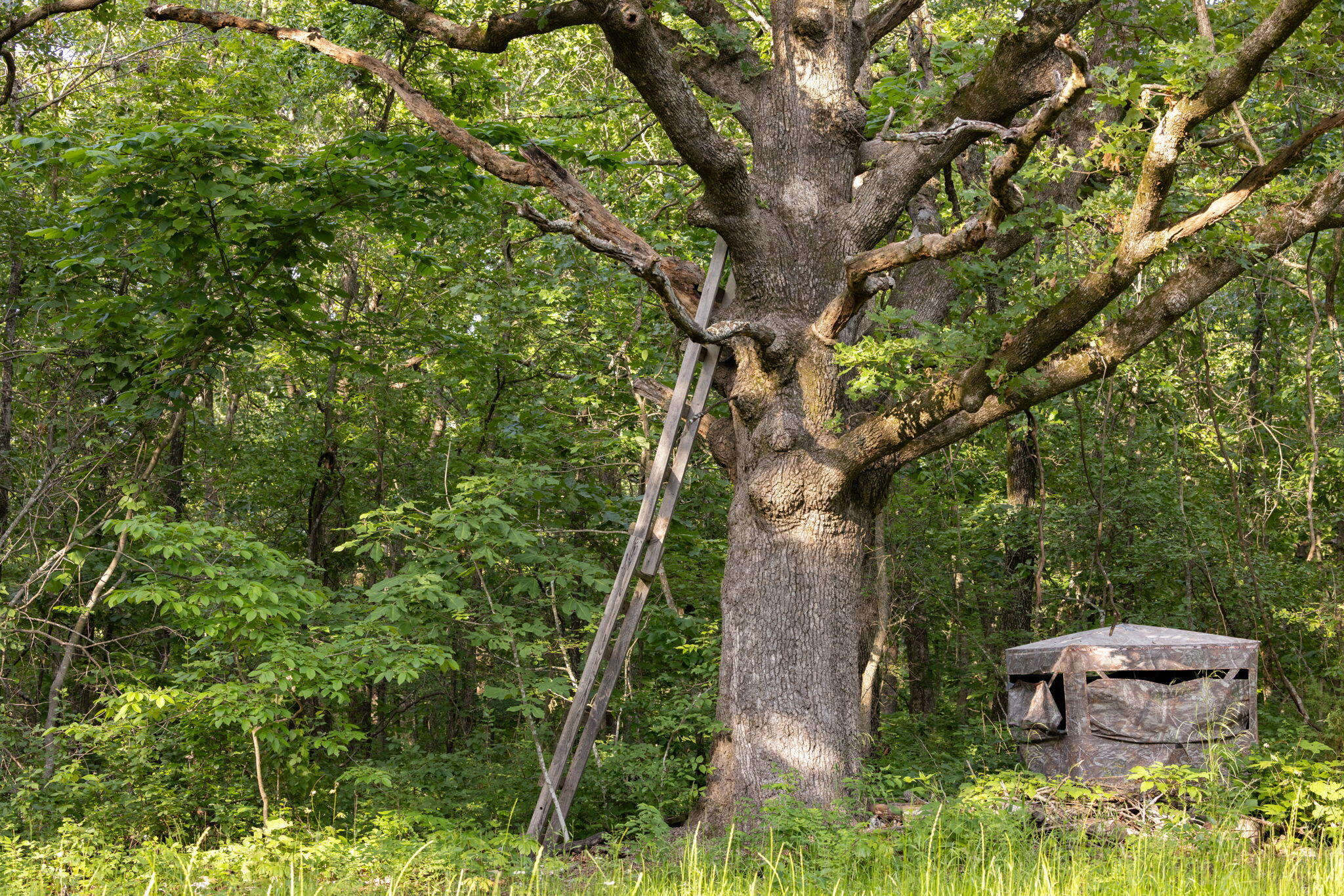main property photo 36