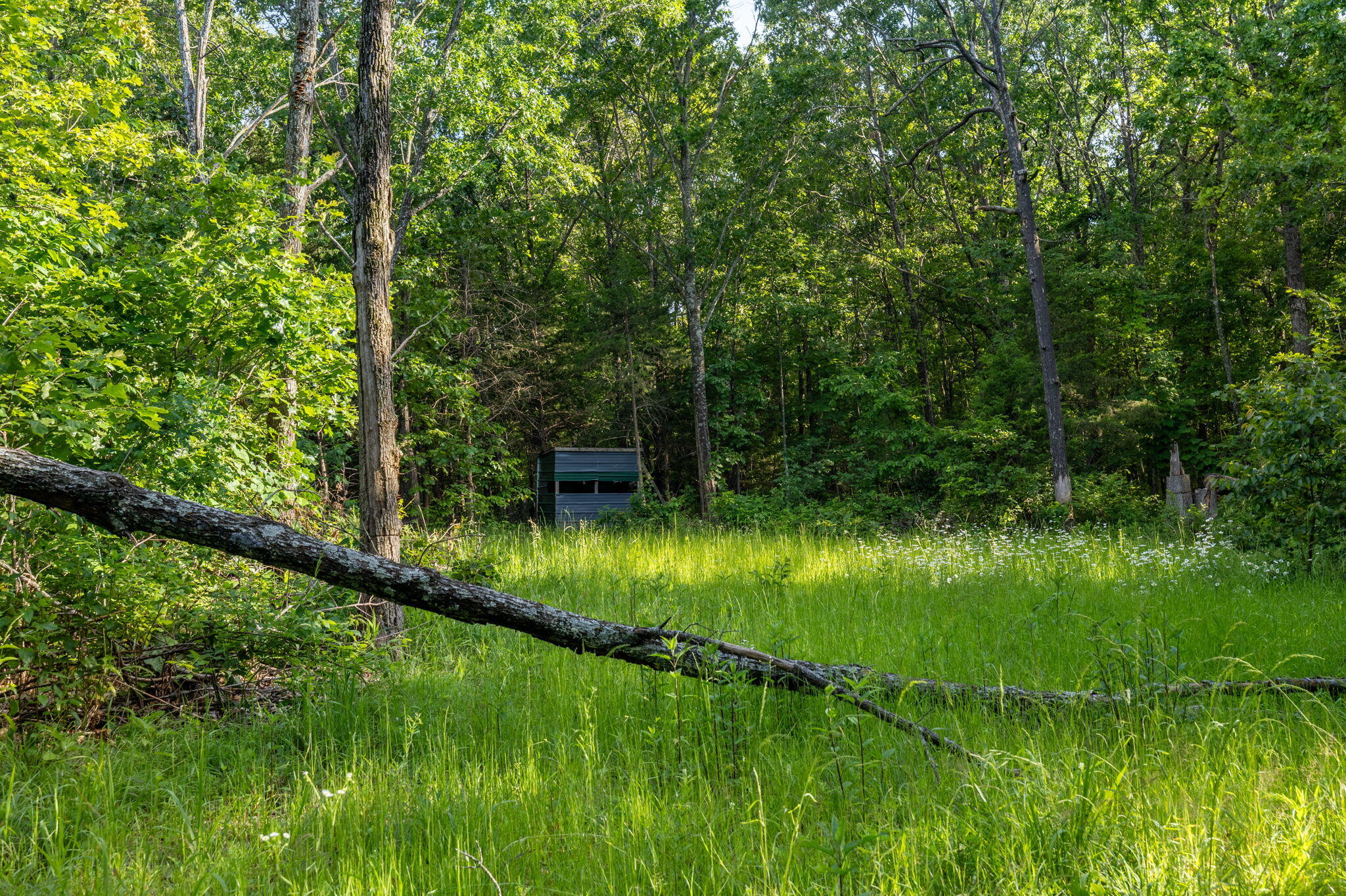 main property photo 39