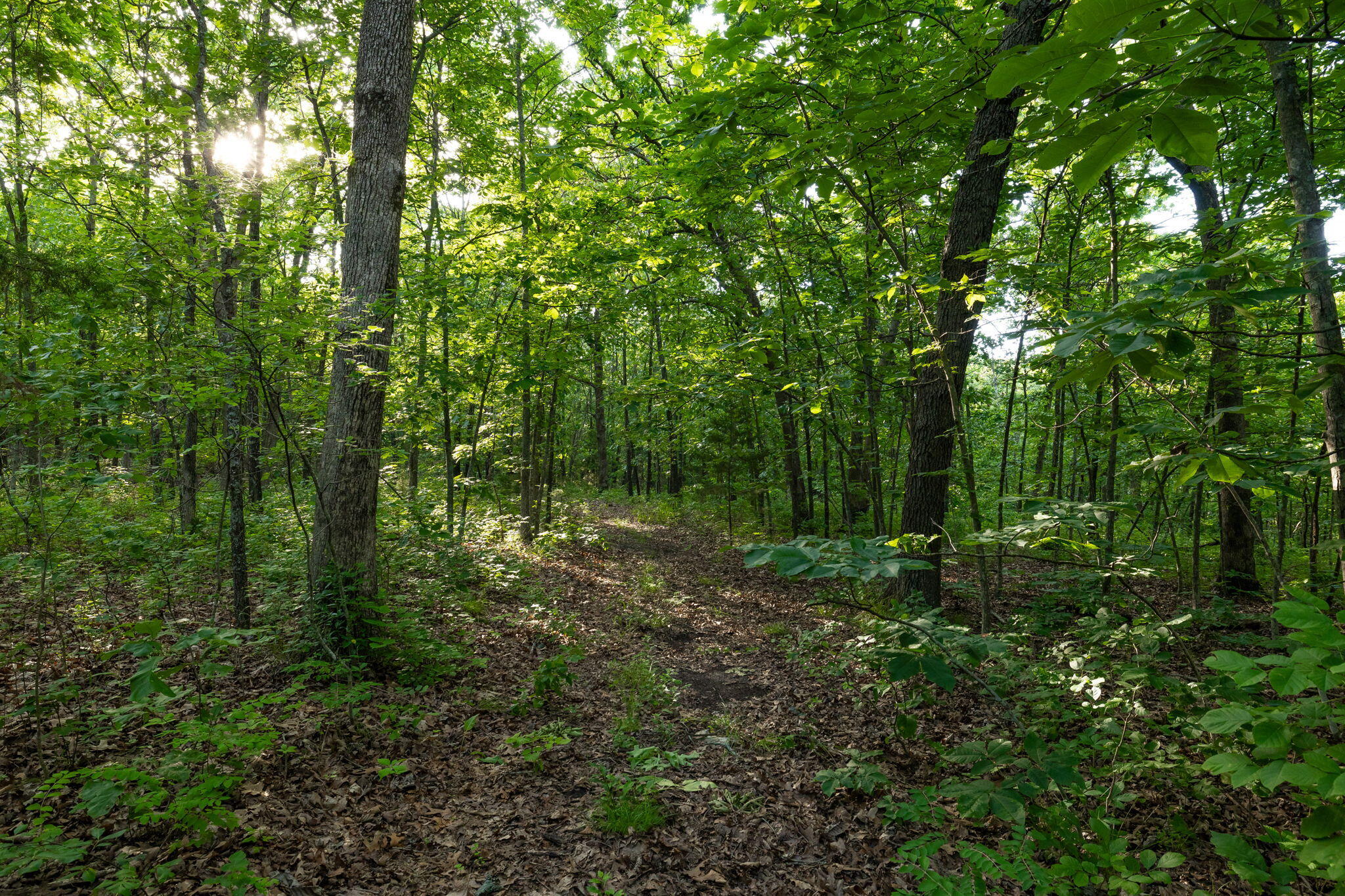 main property photo 47